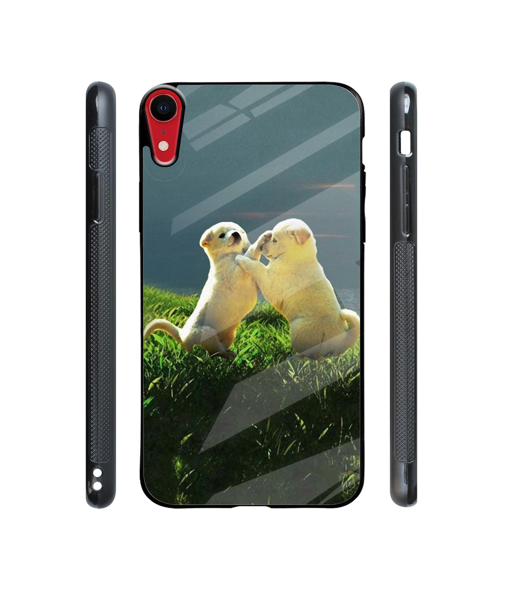 Puppy Couple Sunset Designer Printed Glass Cover for Apple iPhone XR