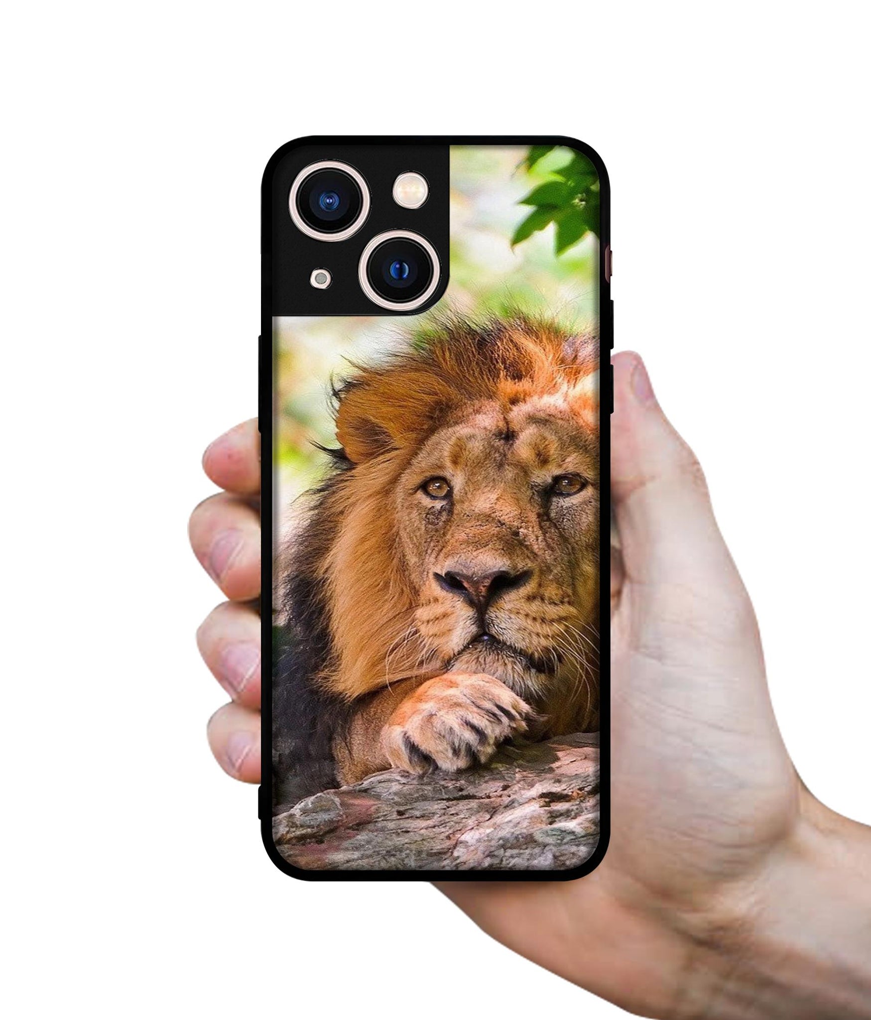 Tiger Pattern Print Designer 2D Printed Back Case Cover for Apple iPhone 13 Mini
