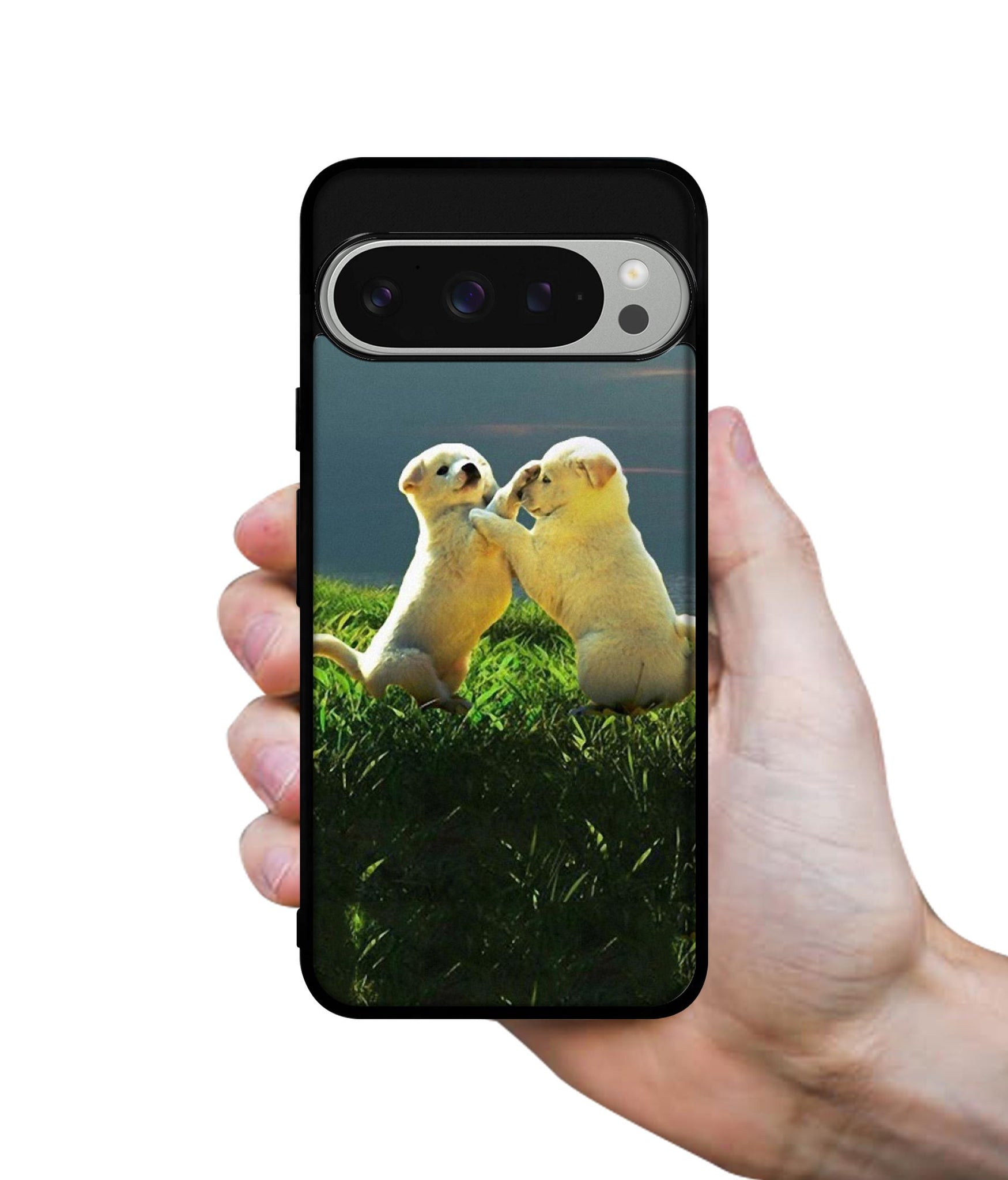 Puppy Couple Sunset Design Designer 2D Printed Back Case Cover for Google Pixel 9 Pro 5G