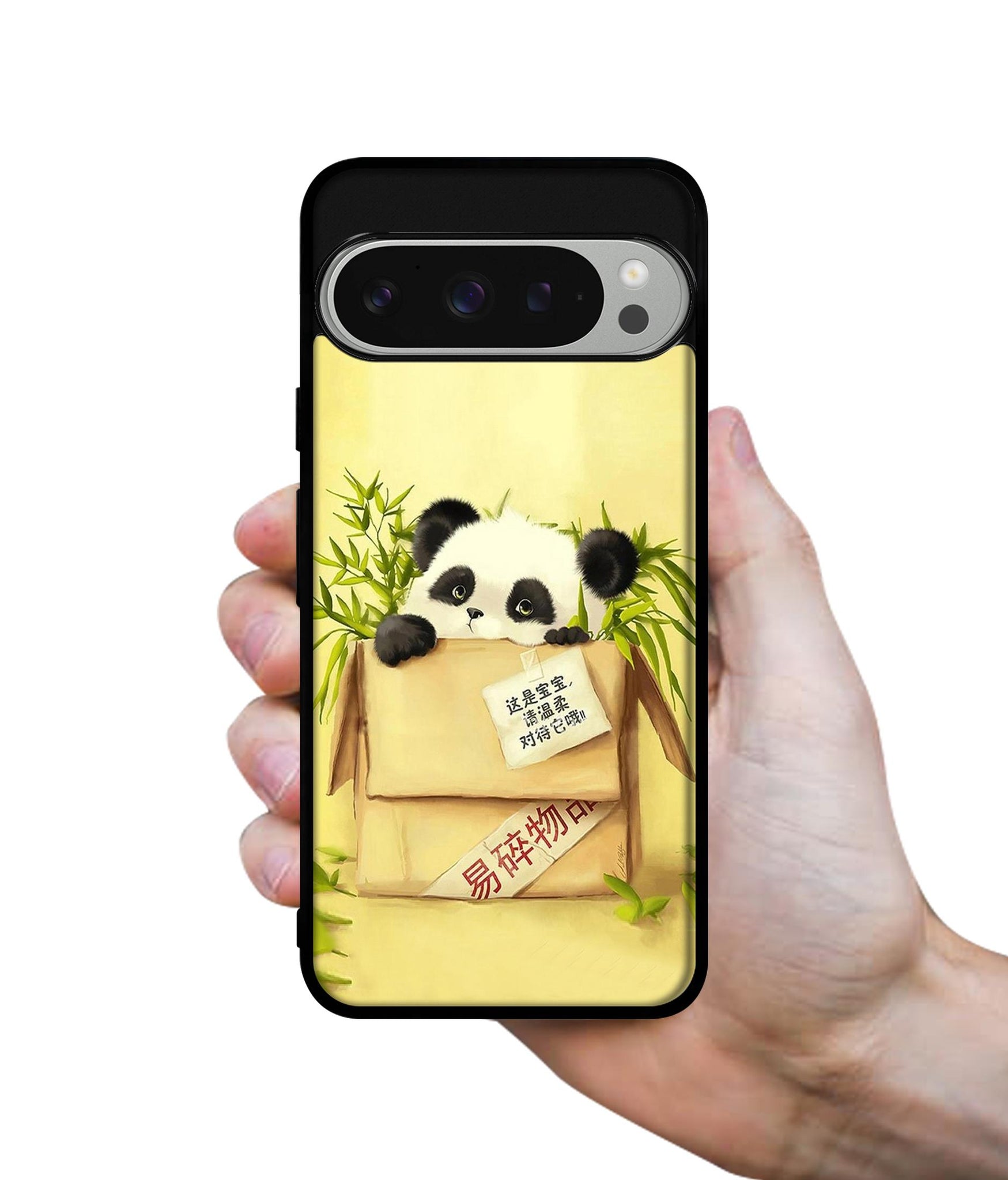 Panda In Box Design Designer 2D Printed Back Case Cover for Google Pixel 9 Pro 5G