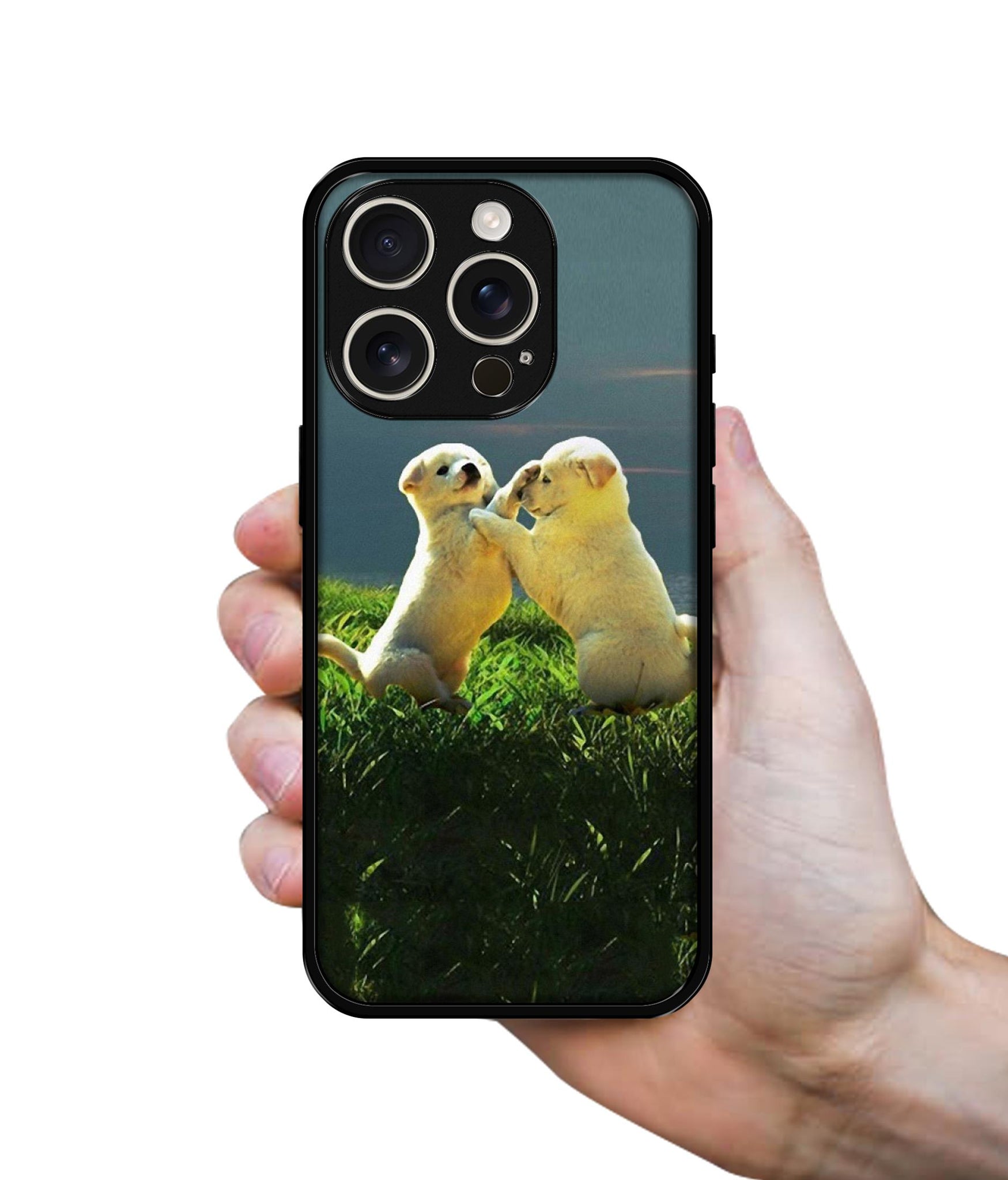 Puppy Couple Sunset Design Designer 2D Printed Back Case Cover for Apple iPhone 16 Pro