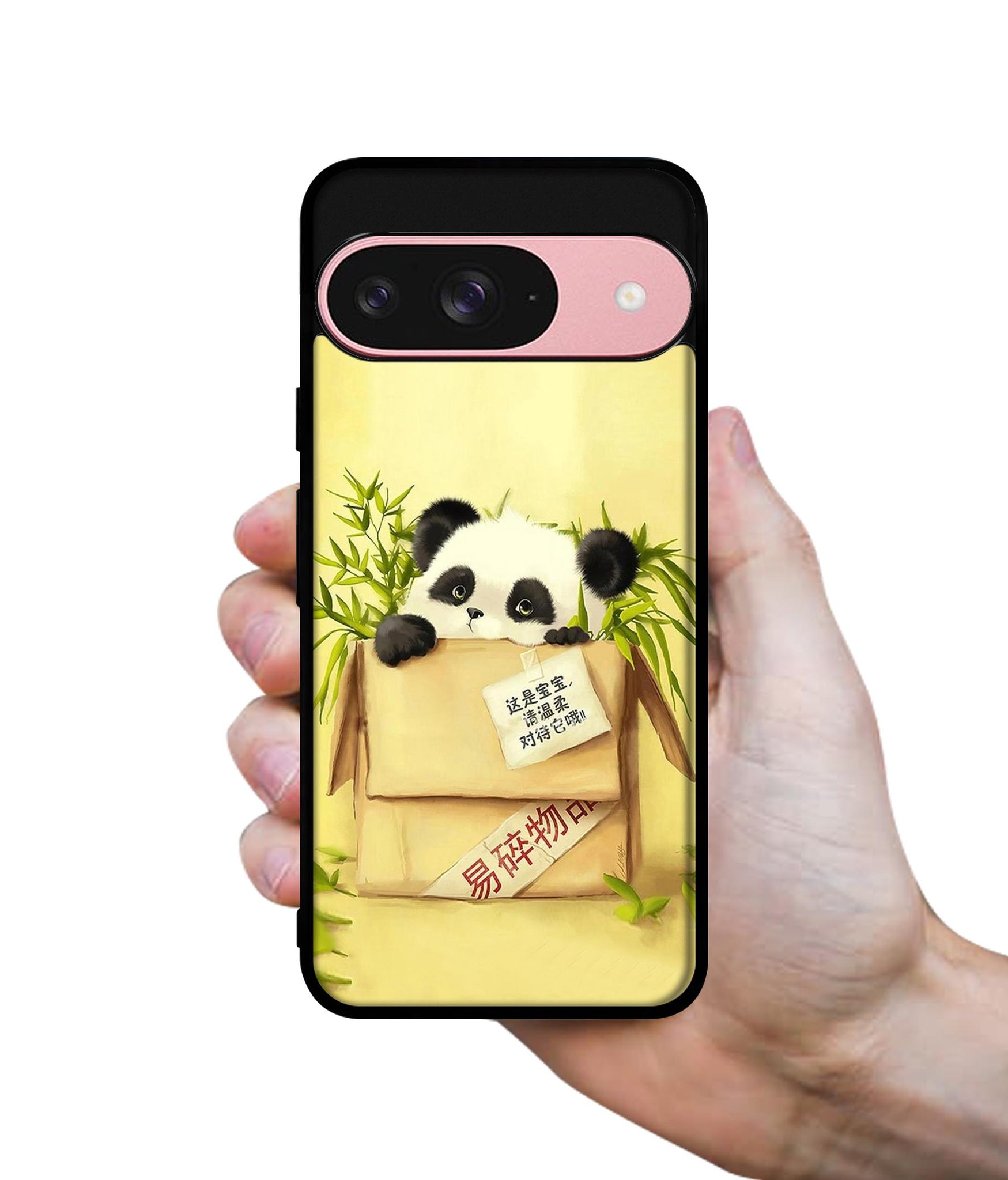 Panda In Box Design Designer 2D Printed Back Case Cover for Google Pixel 9 5G
