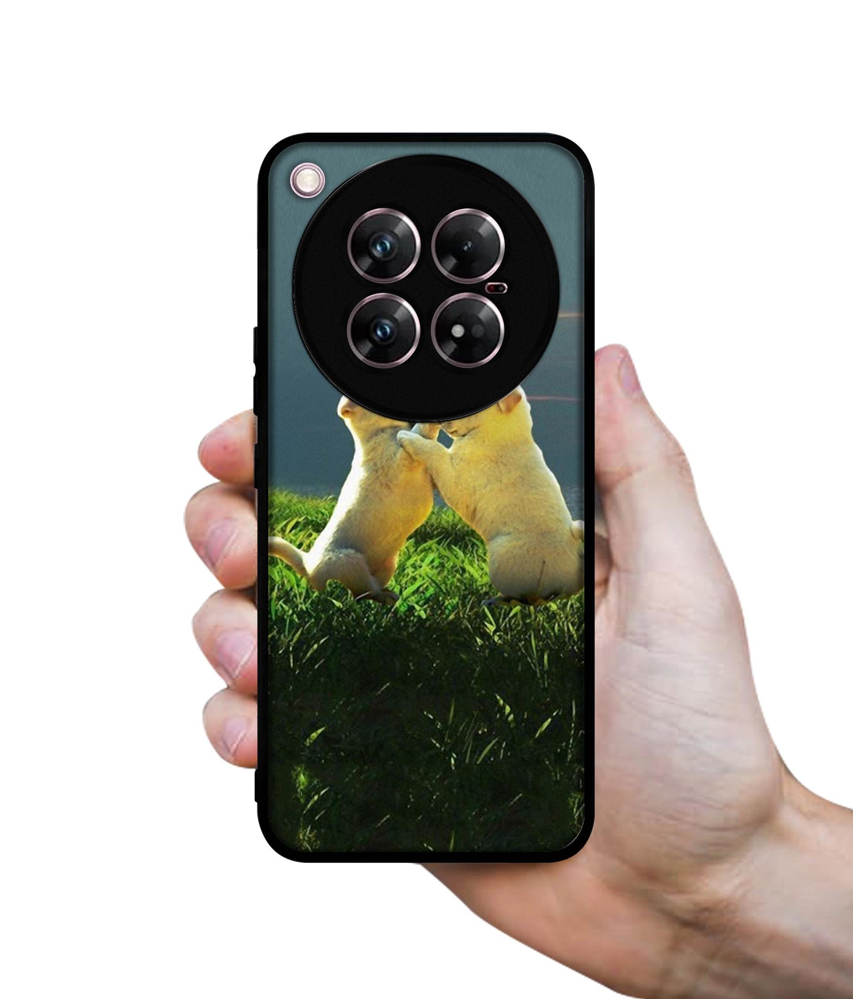 Puppy Couple Sunset Design Designer 2D Printed Back Case Cover for Infinix Zero 40 5G