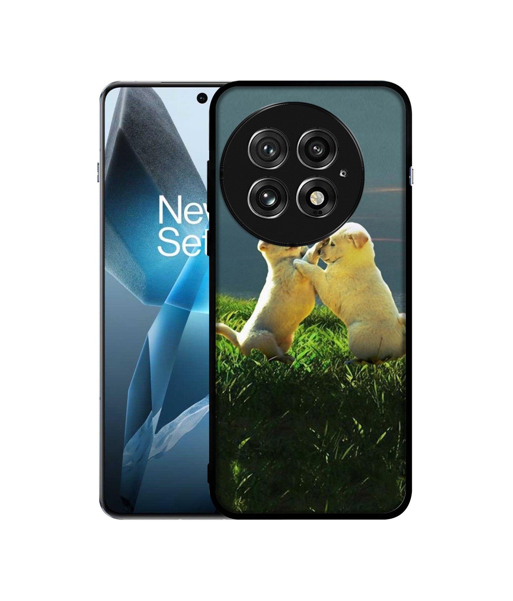 OnePlus 13 5G