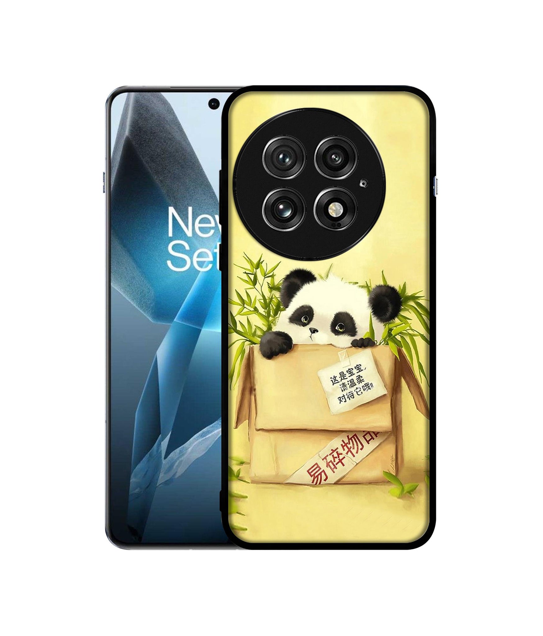 OnePlus 13 5G