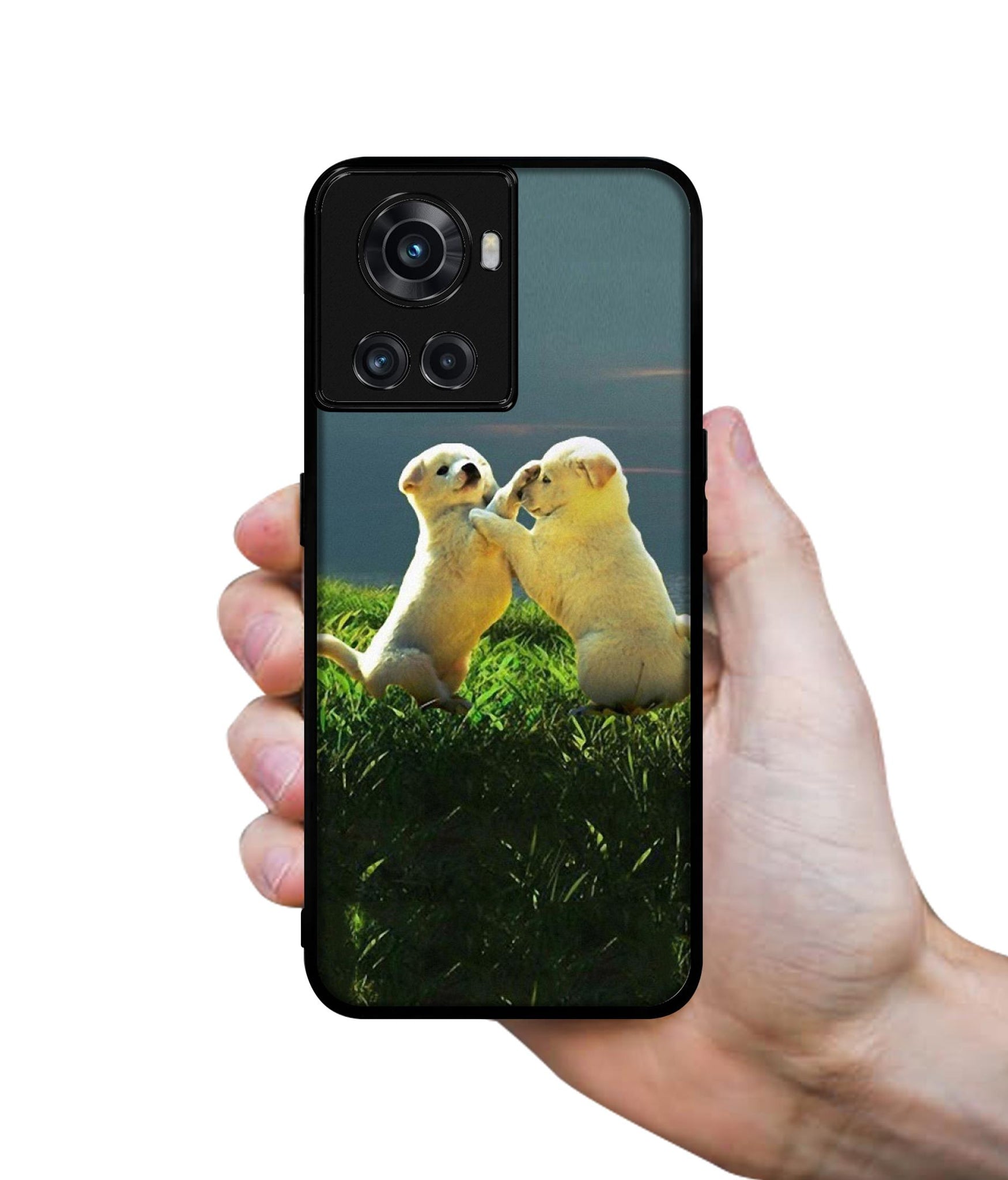 Puppy Couple Sunset Designer 2D Printed Back Case Cover for OnePlus 10R 5G