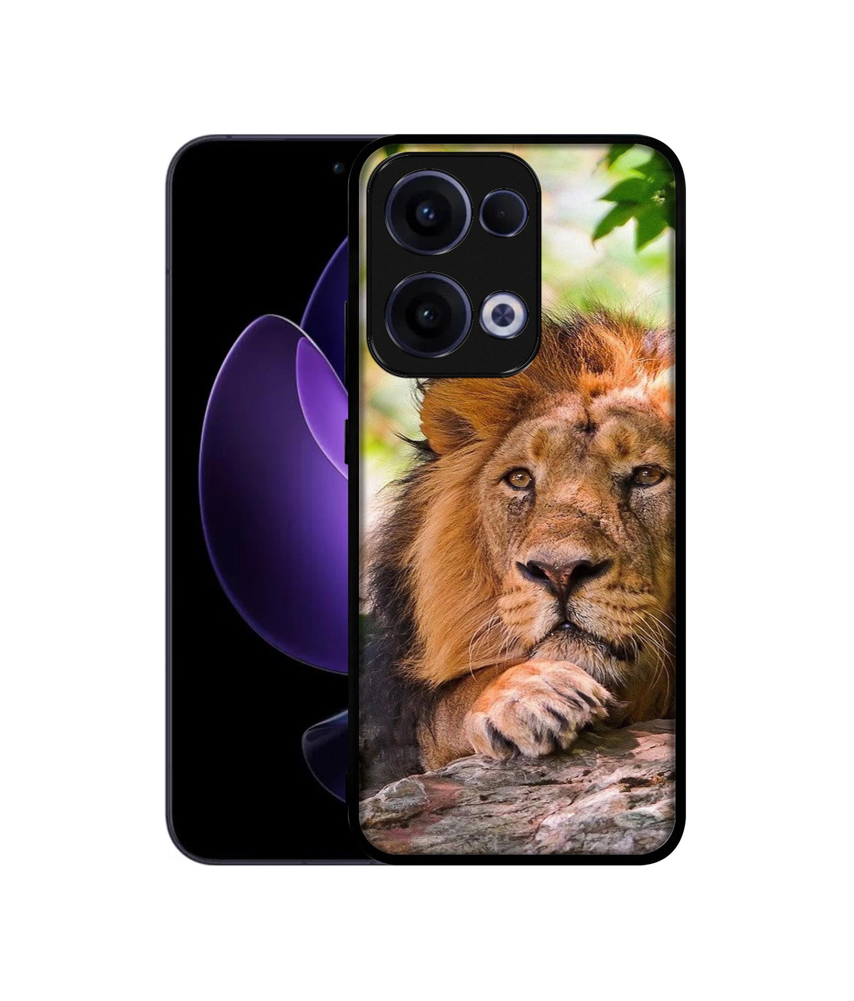 Oppo Reno13 5G