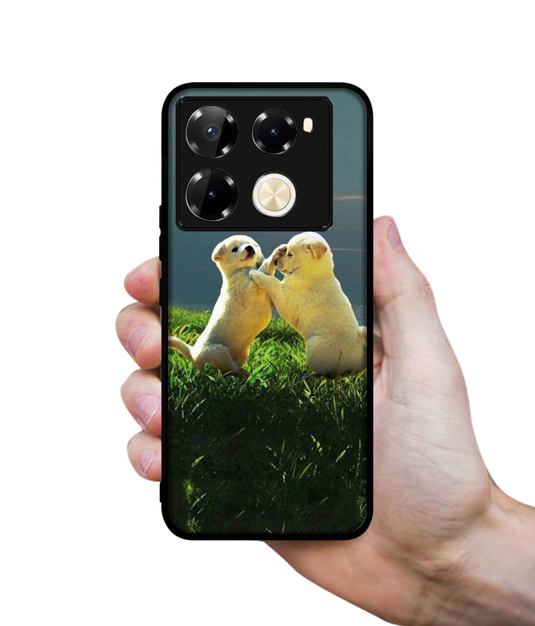 Puppy Couple Sunset Designer 2D Printed Back Case Cover for Infinix Note 40 Pro 5G / 4G / Note 40 Pro Plus 5G