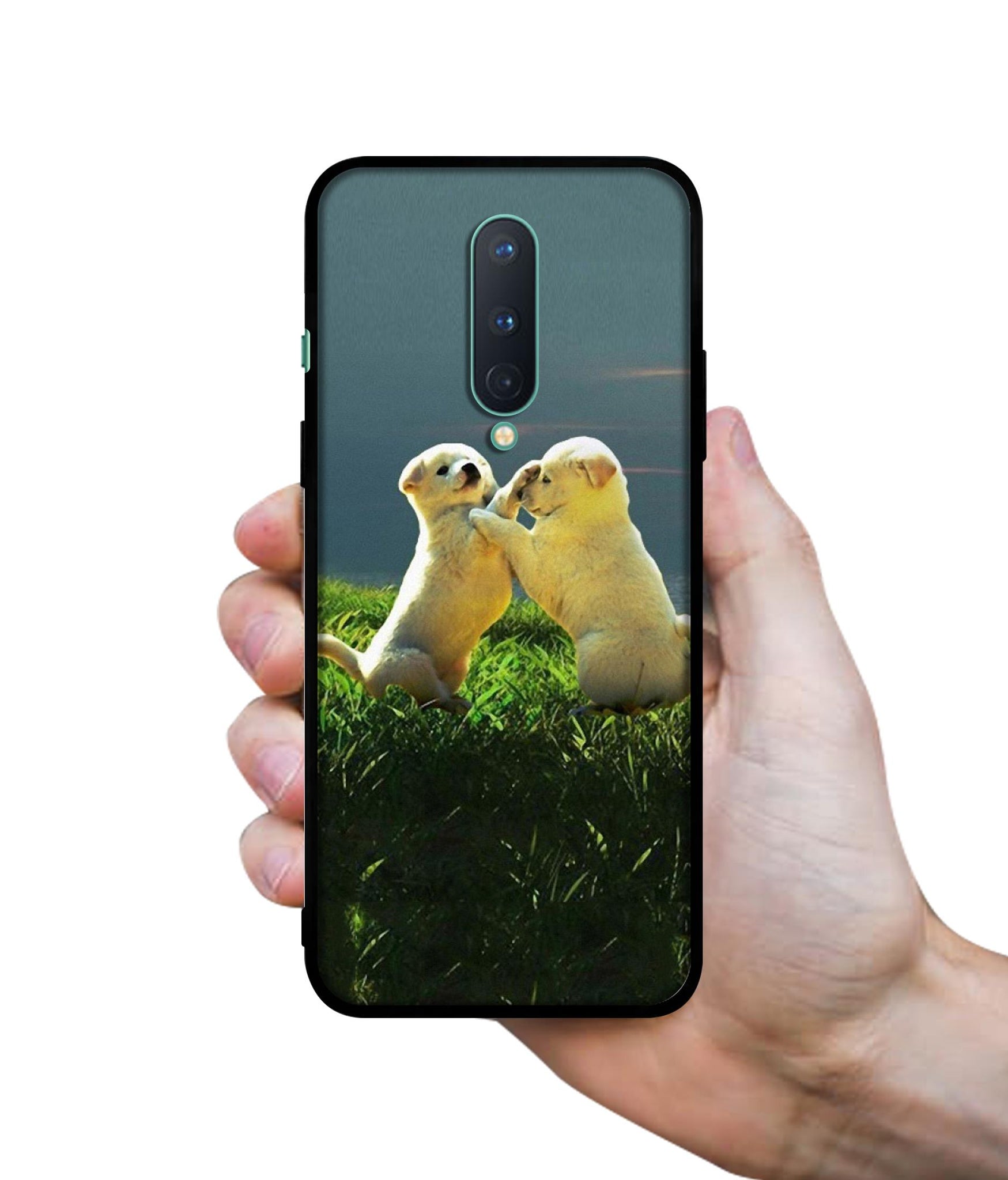 Puppy Couple Sunset Designer 2D Printed Back Case Cover for OnePlus 8 5G