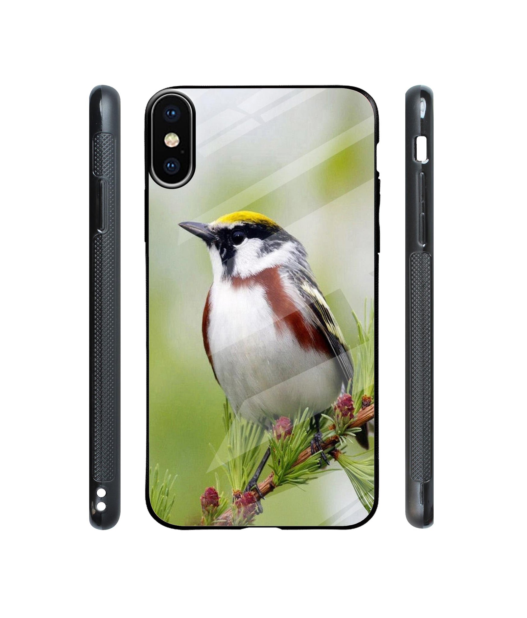 Bird Pattern Designer Printed Glass Cover for Apple iPhone X / Xs