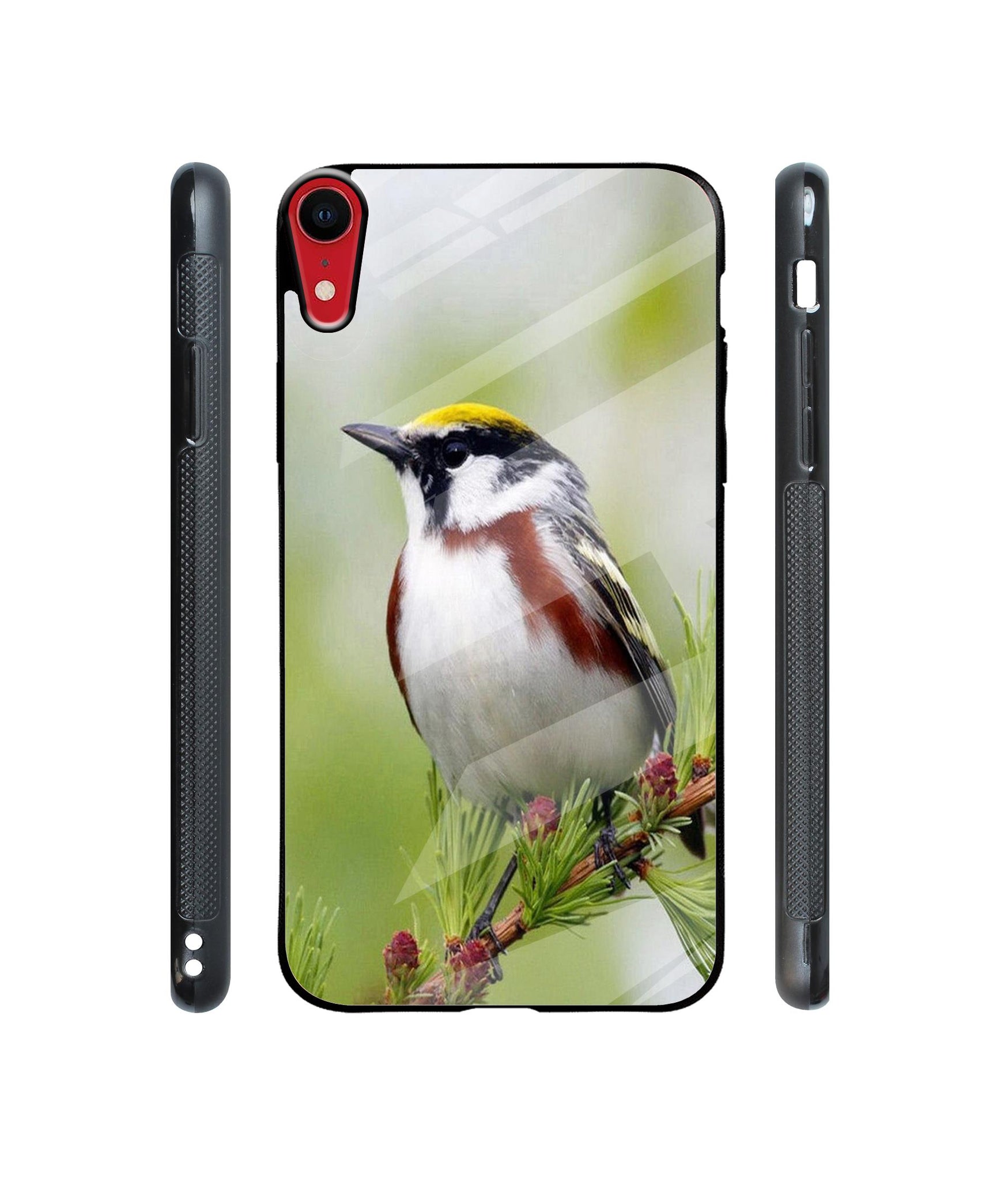 Bird Pattern Designer Printed Glass Cover for Apple iPhone XR