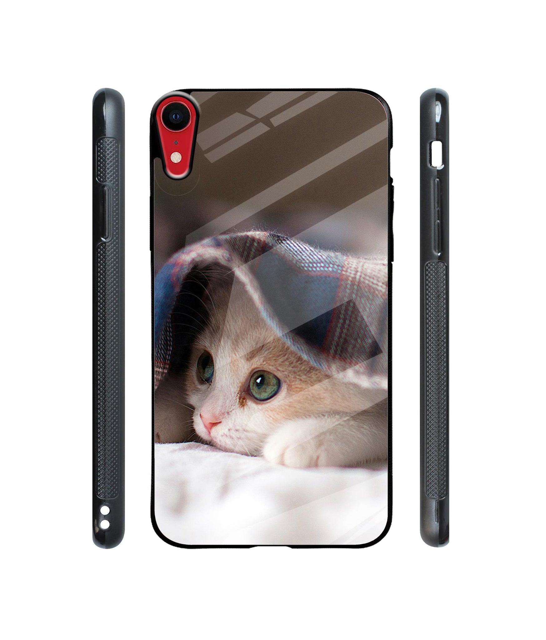 Sleepy Kitten Designer Printed Glass Cover for Apple iPhone XR