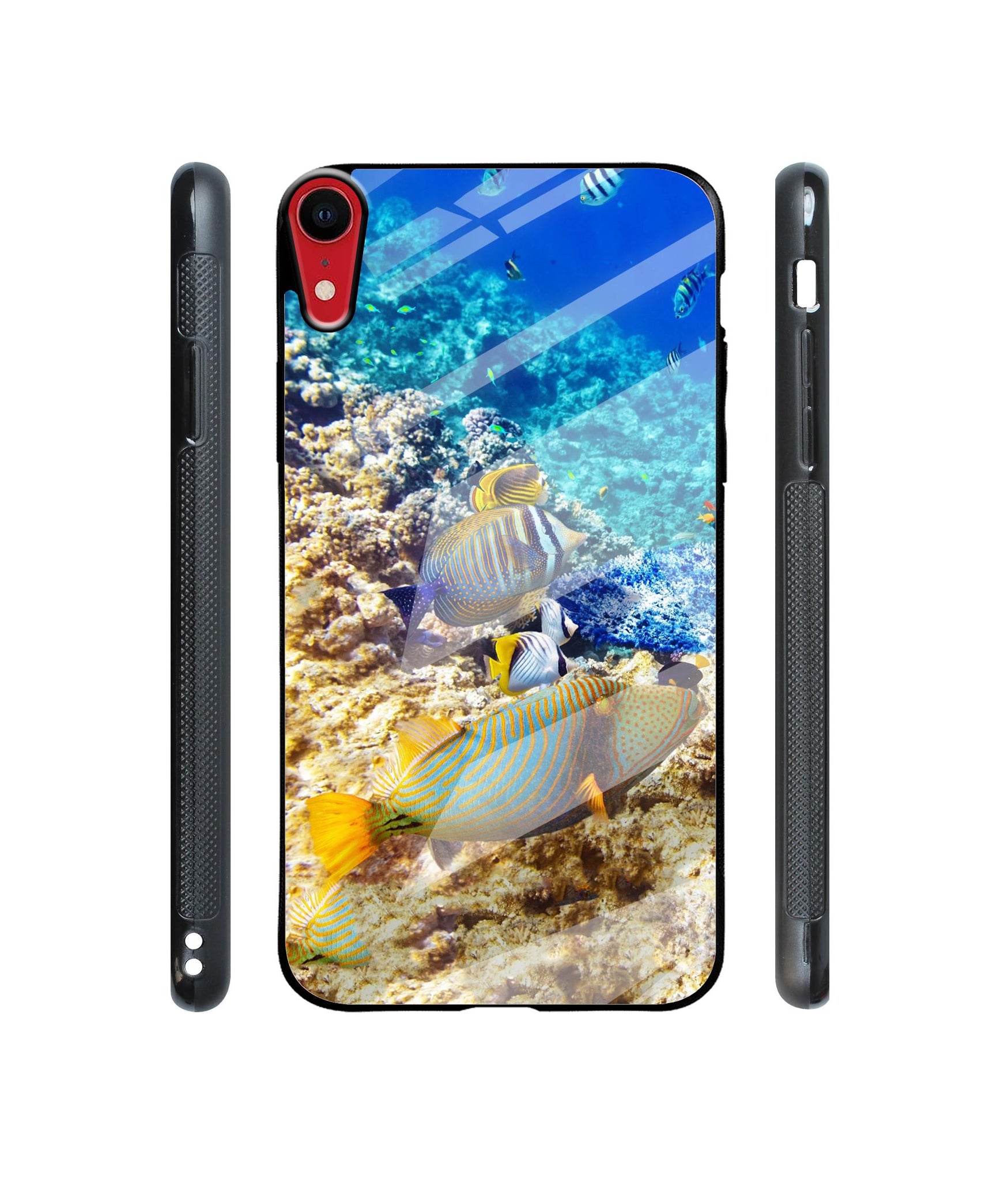 Underwater World Designer Printed Glass Cover for Apple iPhone XR