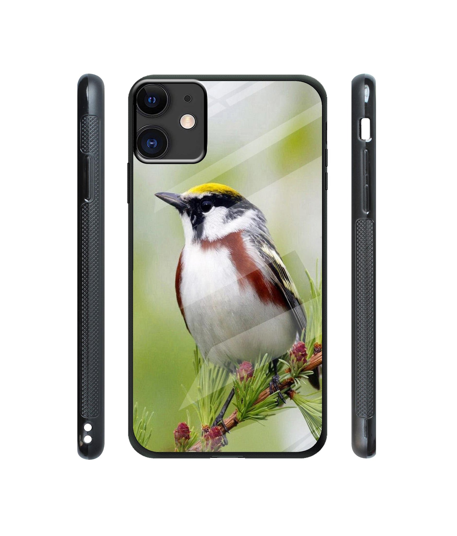 Bird Pattern Designer Printed Glass Cover for Apple iPhone 11