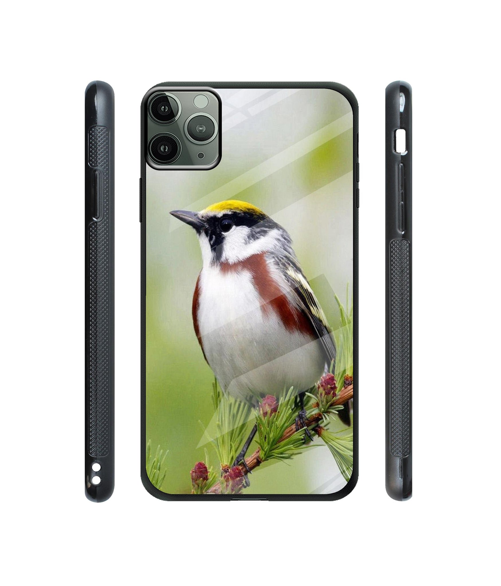 Bird Pattern Designer Printed Glass Cover for Apple iPhone 11 Pro