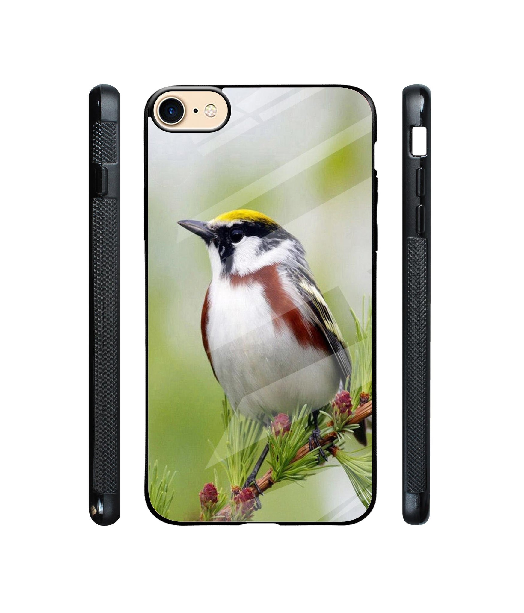 Bird Pattern Designer Printed Glass Cover for Apple iPhone 7 / iPhone 8
