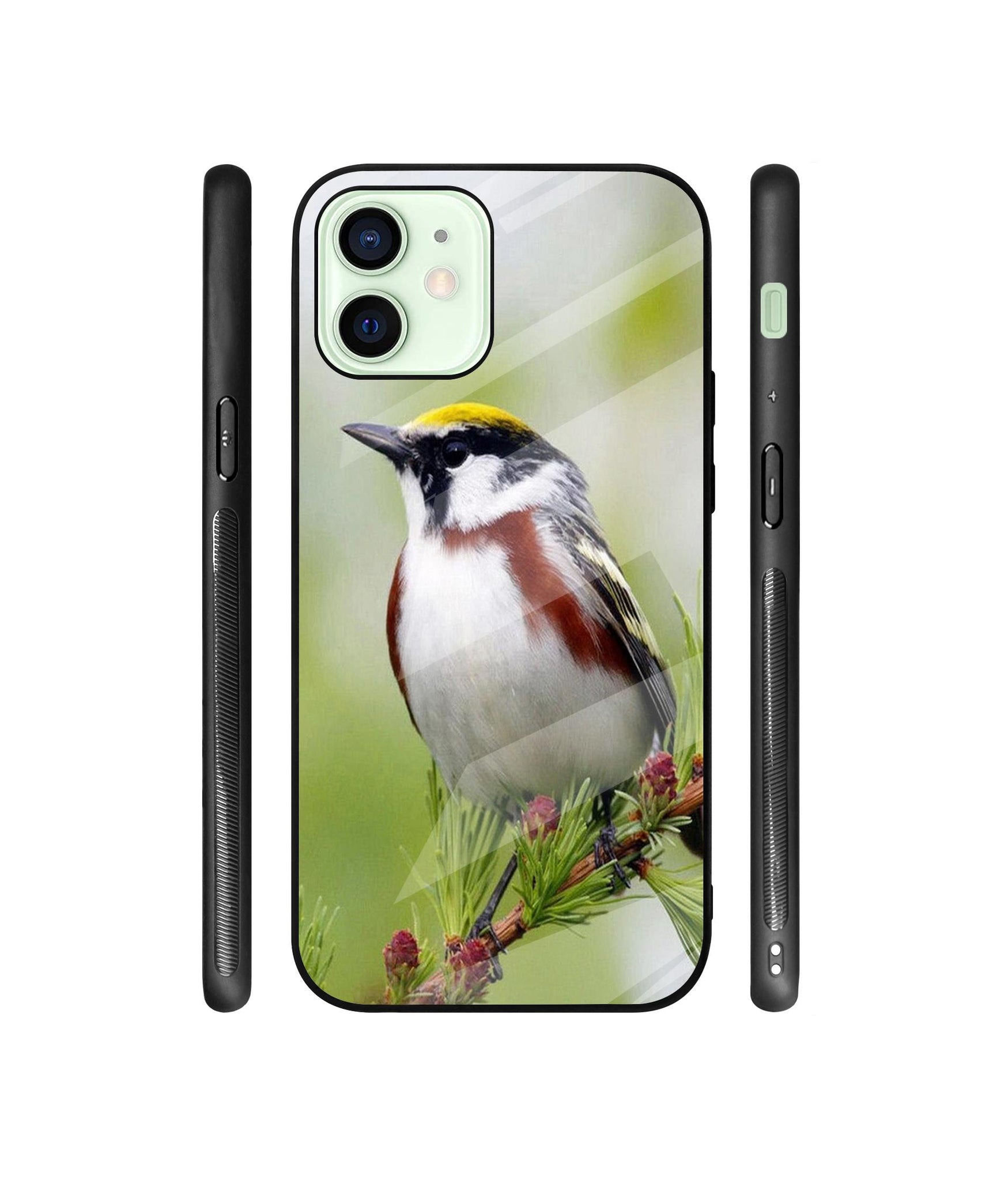 Bird Pattern Designer Printed Glass Cover for Apple iPhone 12 Mini