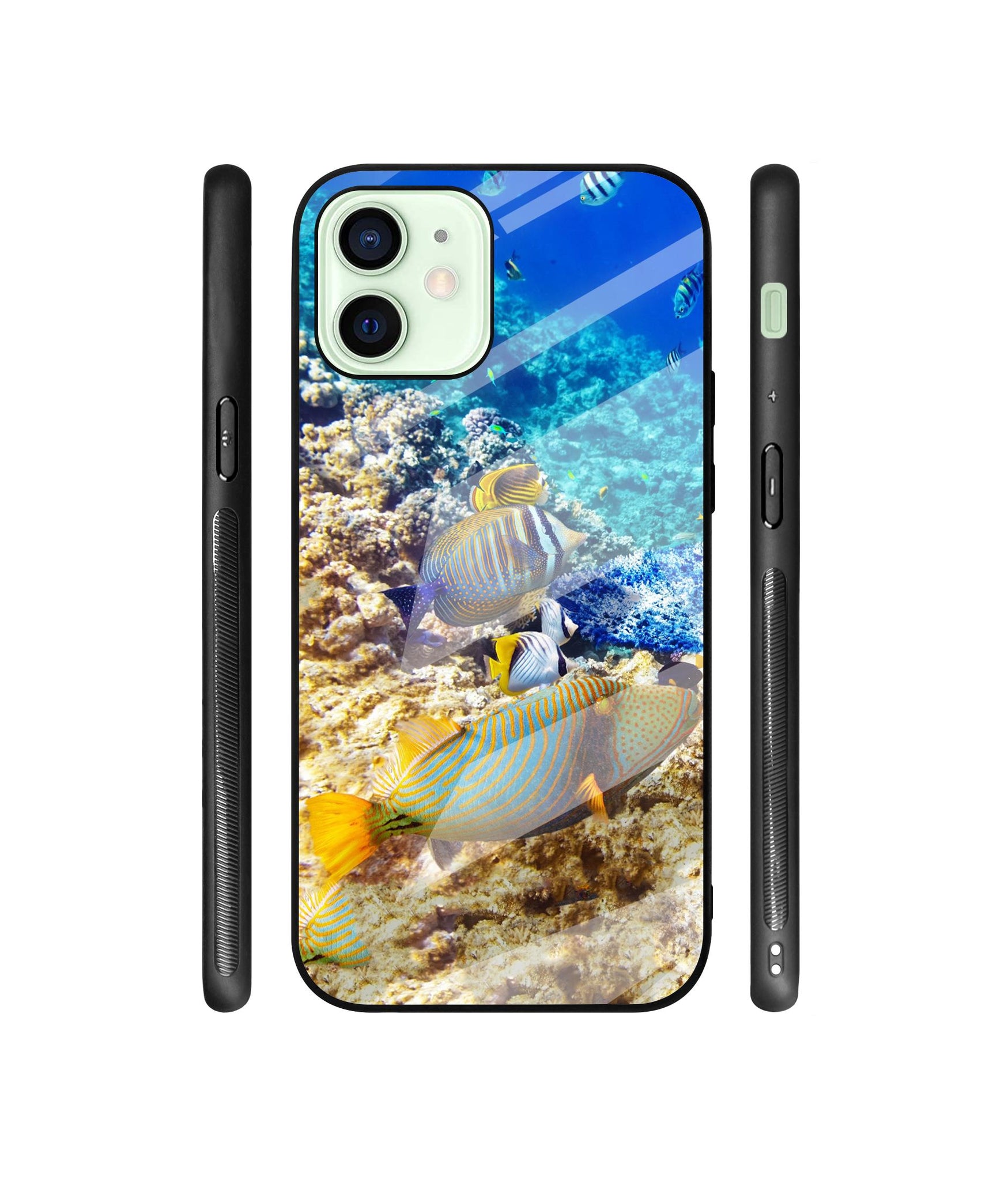 Underwater World Designer Printed Glass Cover for Apple iPhone 12 Mini