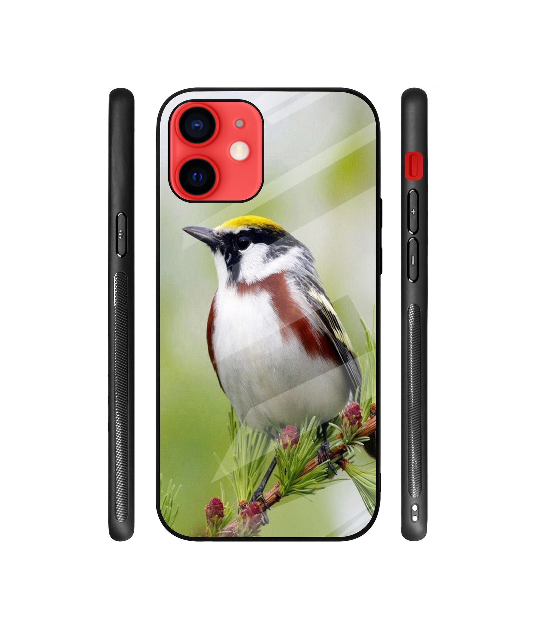 Bird Pattern Designer Printed Glass Cover for Apple iPhone 12 / iPhone 12 Pro