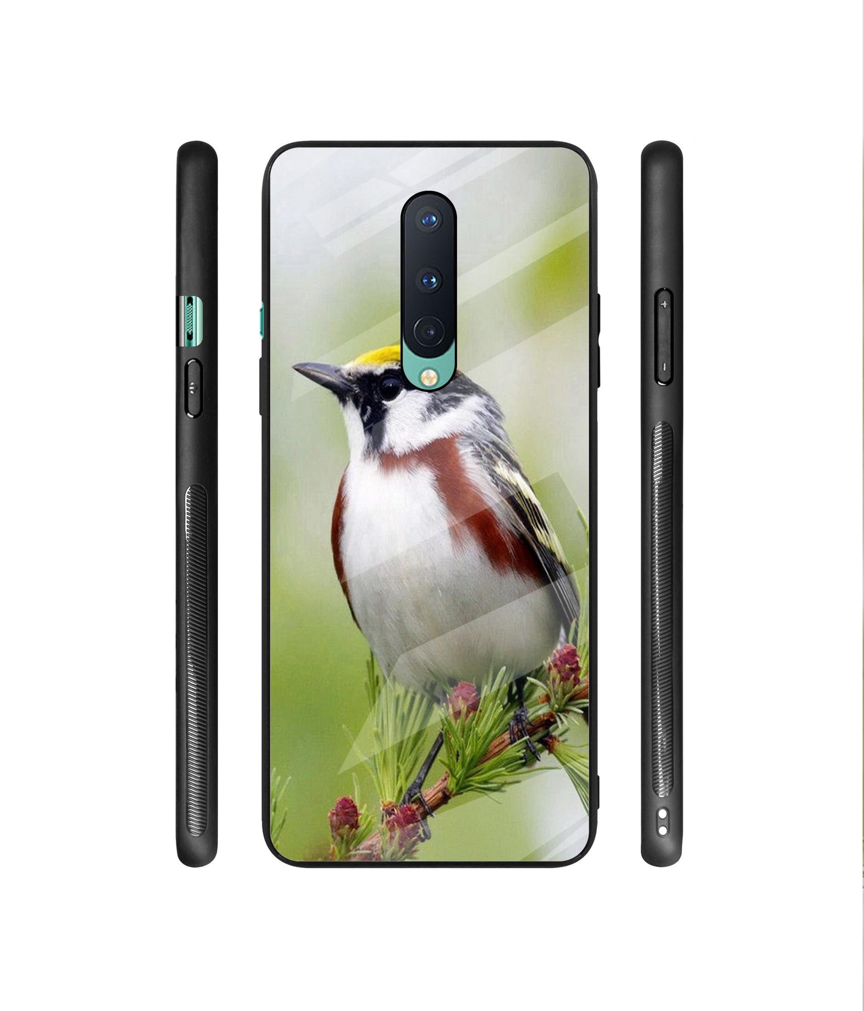 Bird Pattern Designer Printed Glass Cover for OnePlus 8