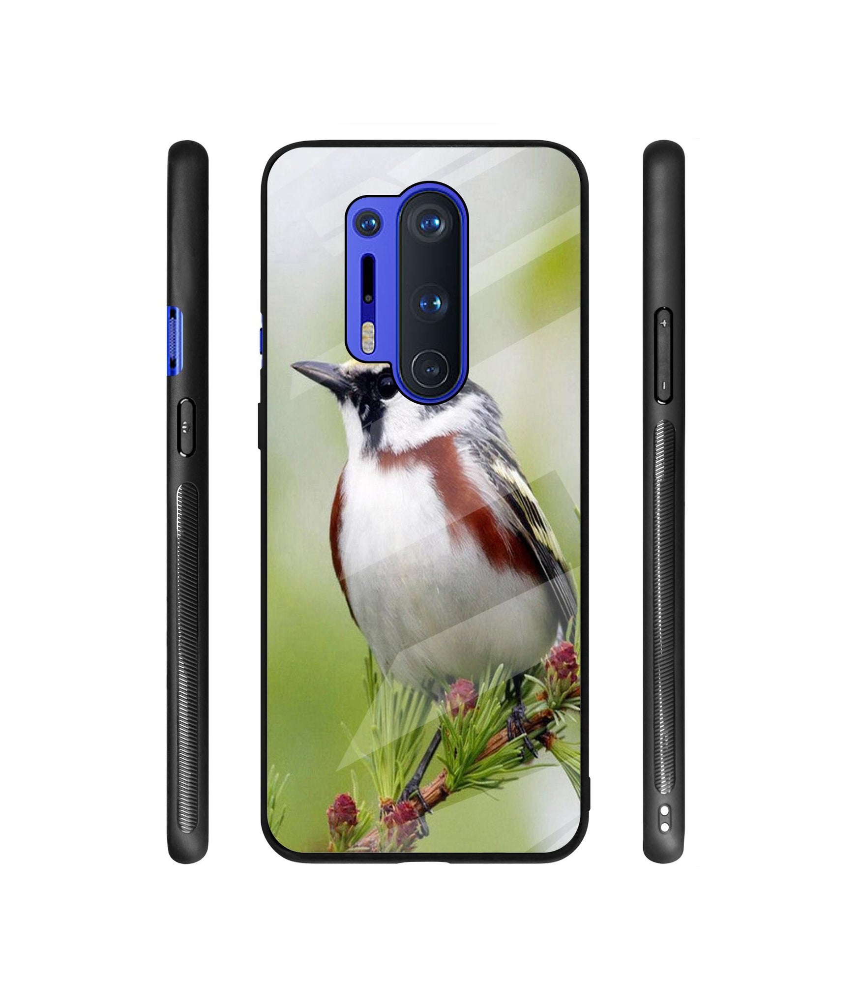 Bird Pattern Designer Printed Glass Cover for OnePlus 8 Pro