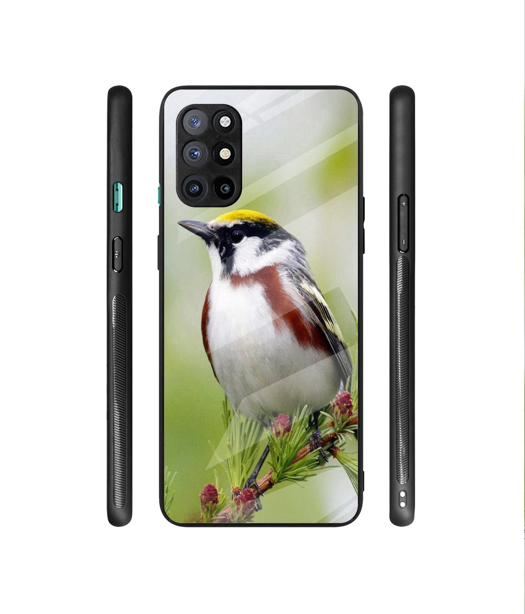 Bird Pattern Designer Printed Glass Cover for OnePlus 8T