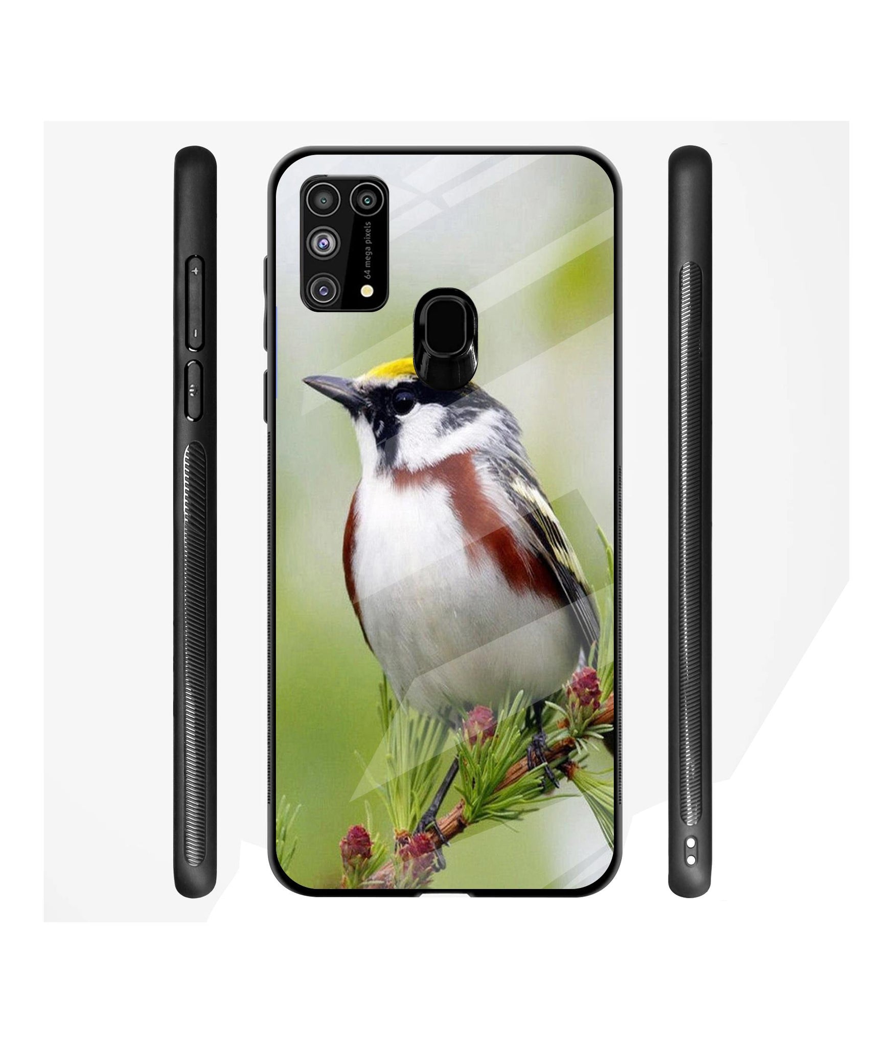 Bird Pattern Designer Printed Glass Cover for Samsung Galaxy M31 Prime / M31 / F41