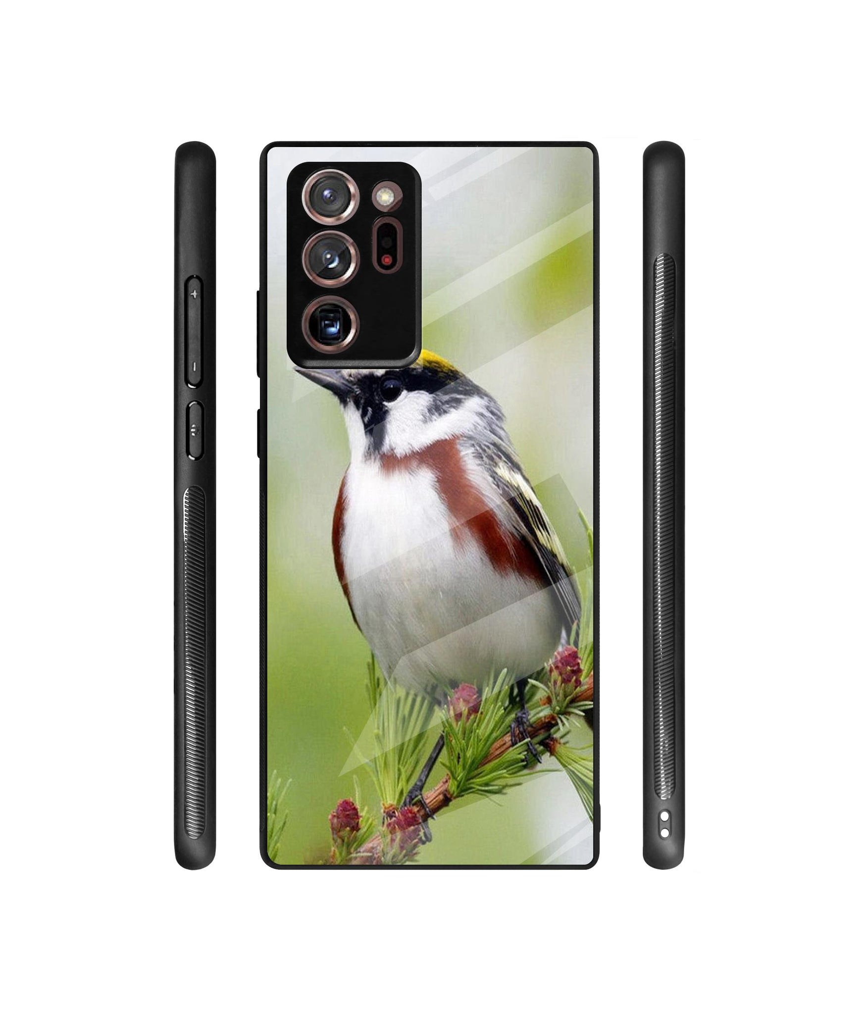 Bird Pattern Designer Printed Glass Cover for Samsung Galaxy Note 20 Ultra