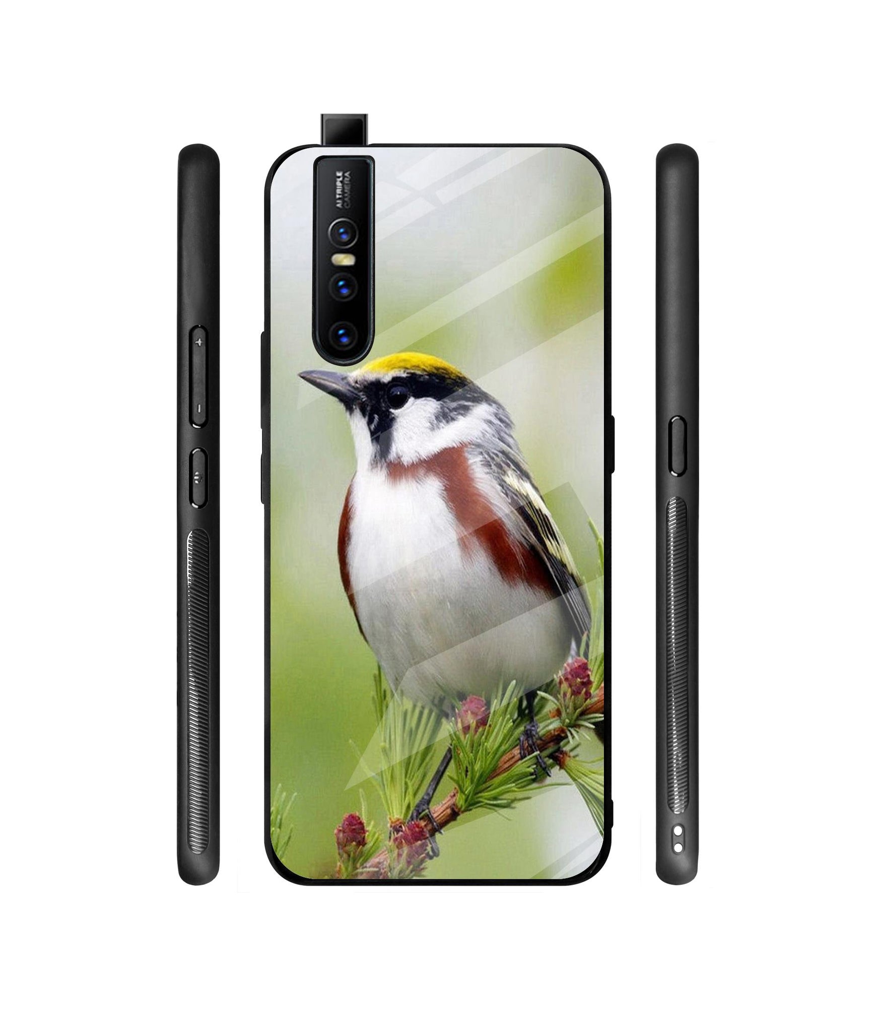 Bird Pattern Designer Printed Glass Cover for Vivo V15 Pro