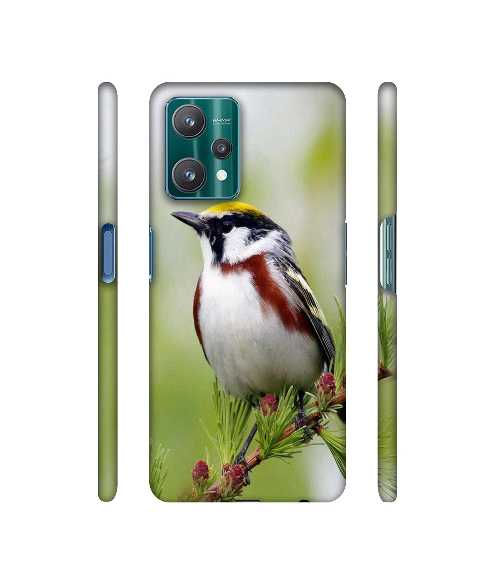 Bird Pattern Designer Hard Back Cover for Realme 9 Pro 5G