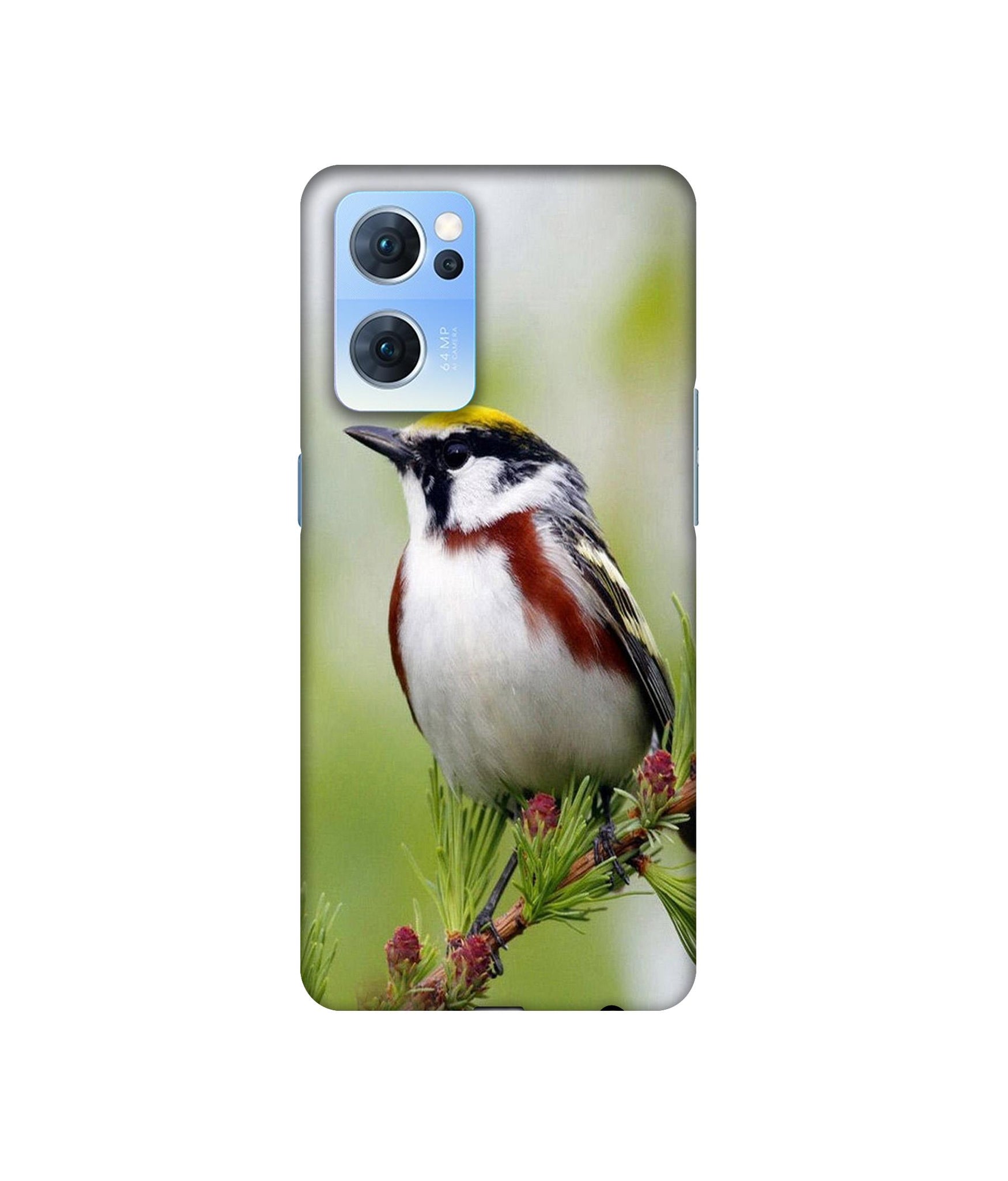 Oppo Reno7 5G