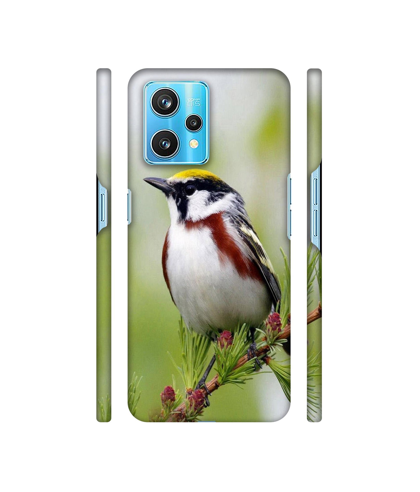 Bird Pattern Designer Hard Back Cover for Realme 9 Pro Plus 5G