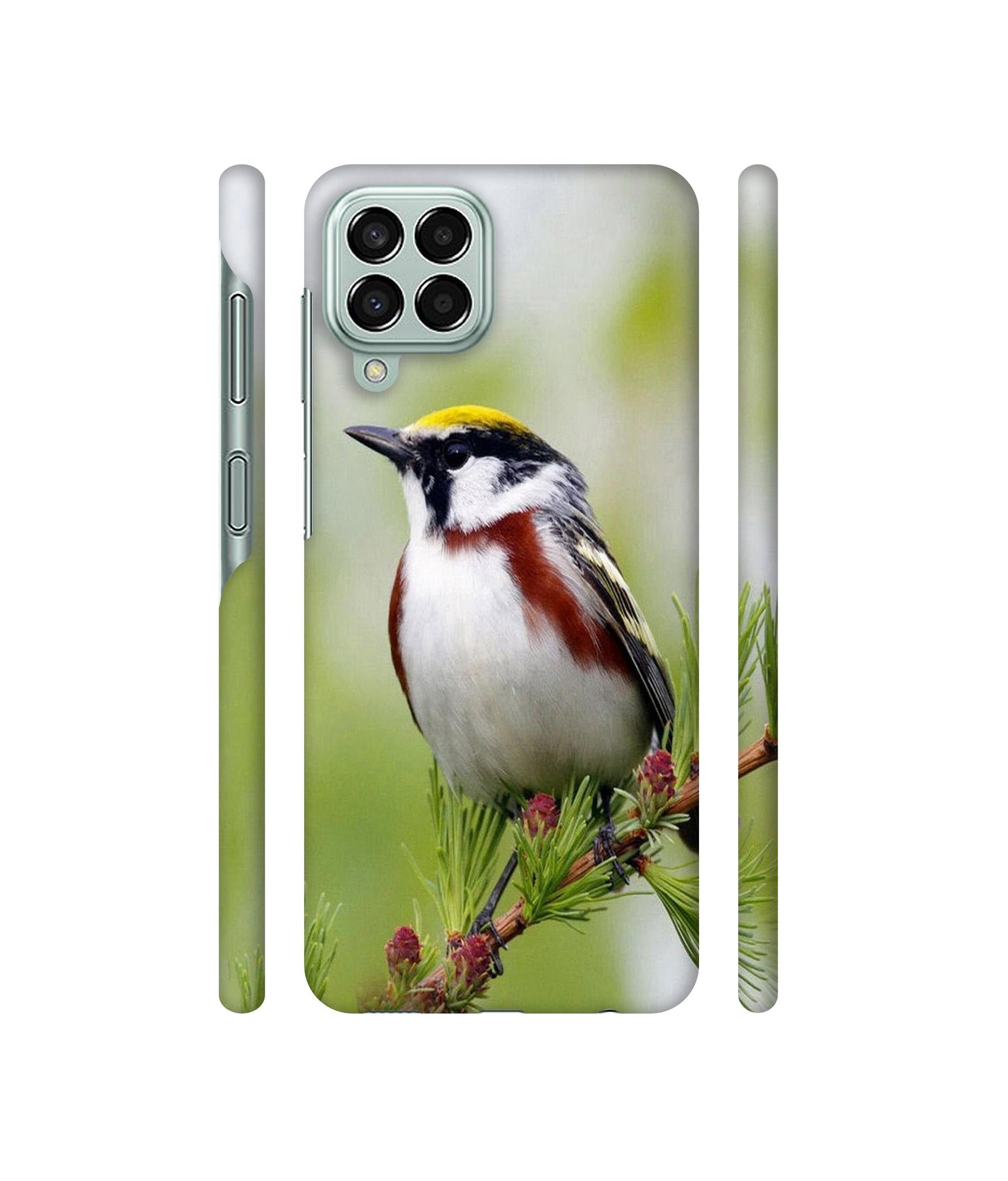 Bird Pattern Designer Hard Back Cover for Samsung Galaxy M33 5G