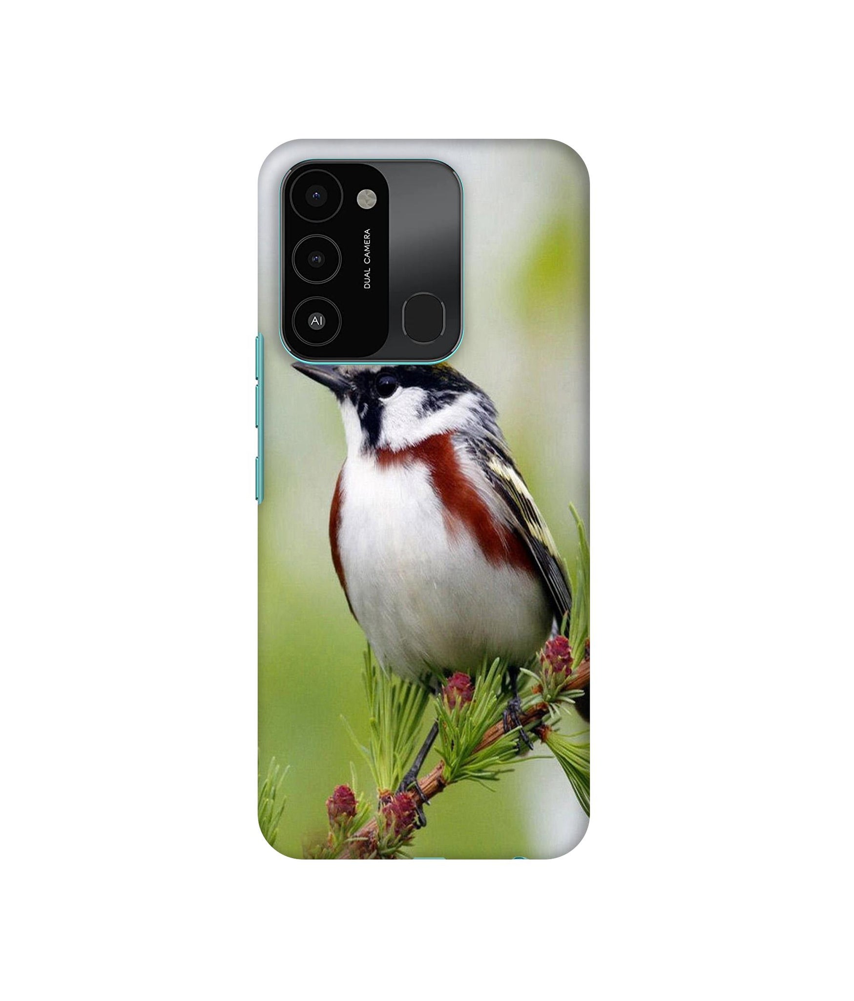 Tecno Spark 8C