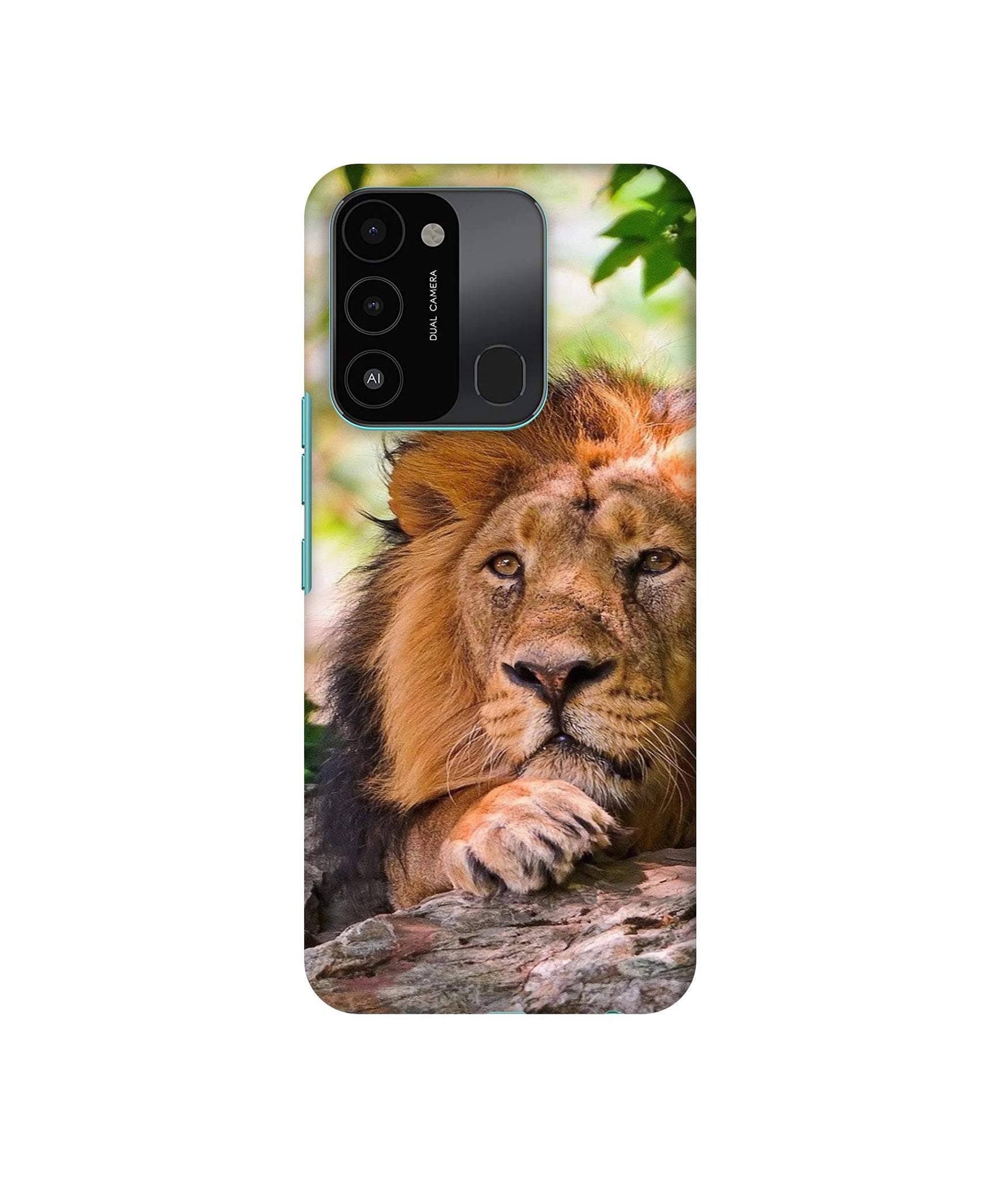 Tecno Spark 8C