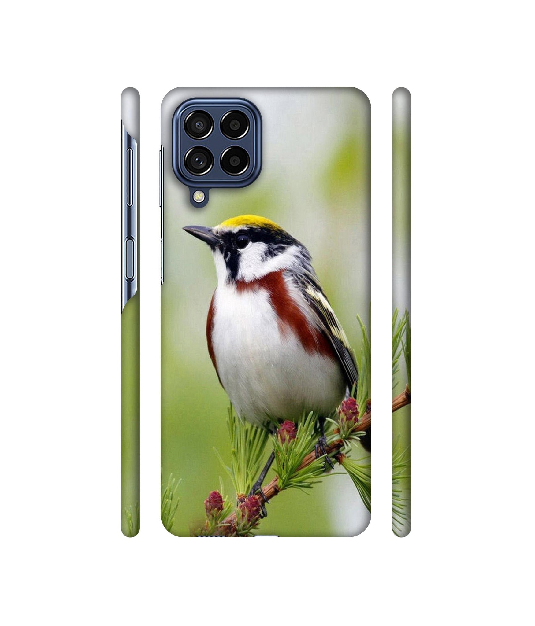 Bird Pattern Designer Hard Back Cover for Samsung Galaxy M53 5G