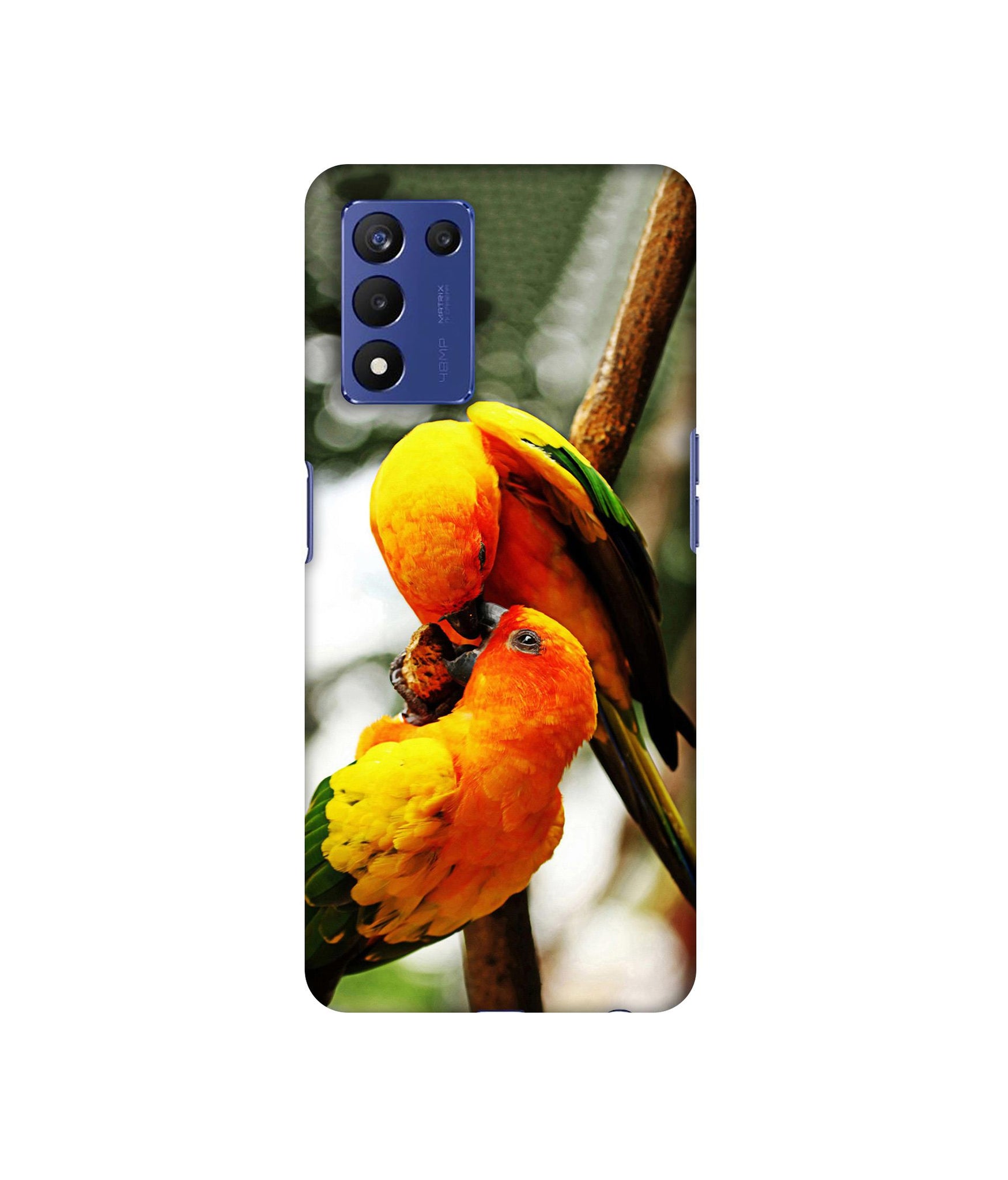 Love Bards Designer Hard Back Cover for Realme 9 5G Speed Edition