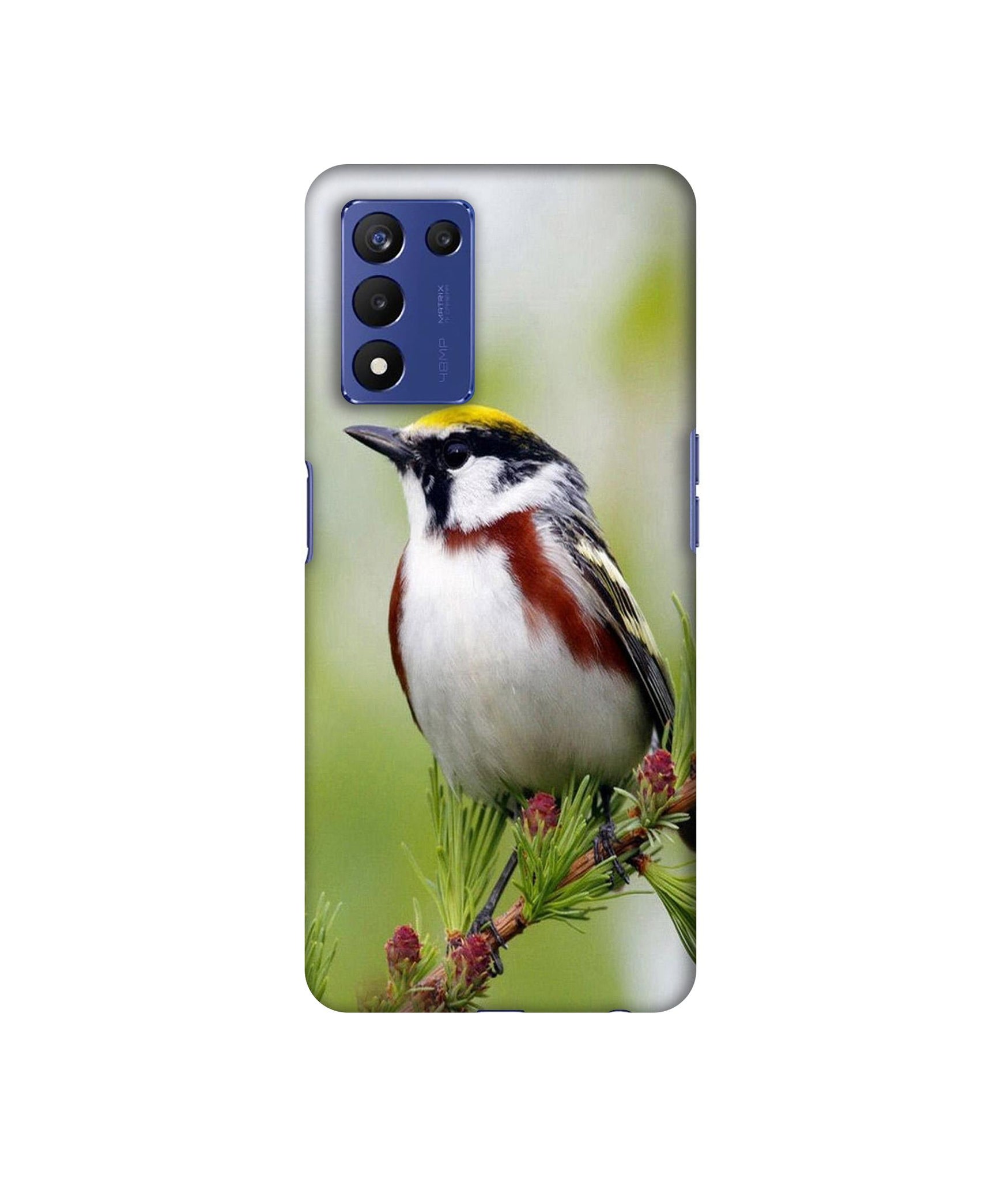 Bird Pattern Designer Hard Back Cover for Realme 9 5G Speed Edition