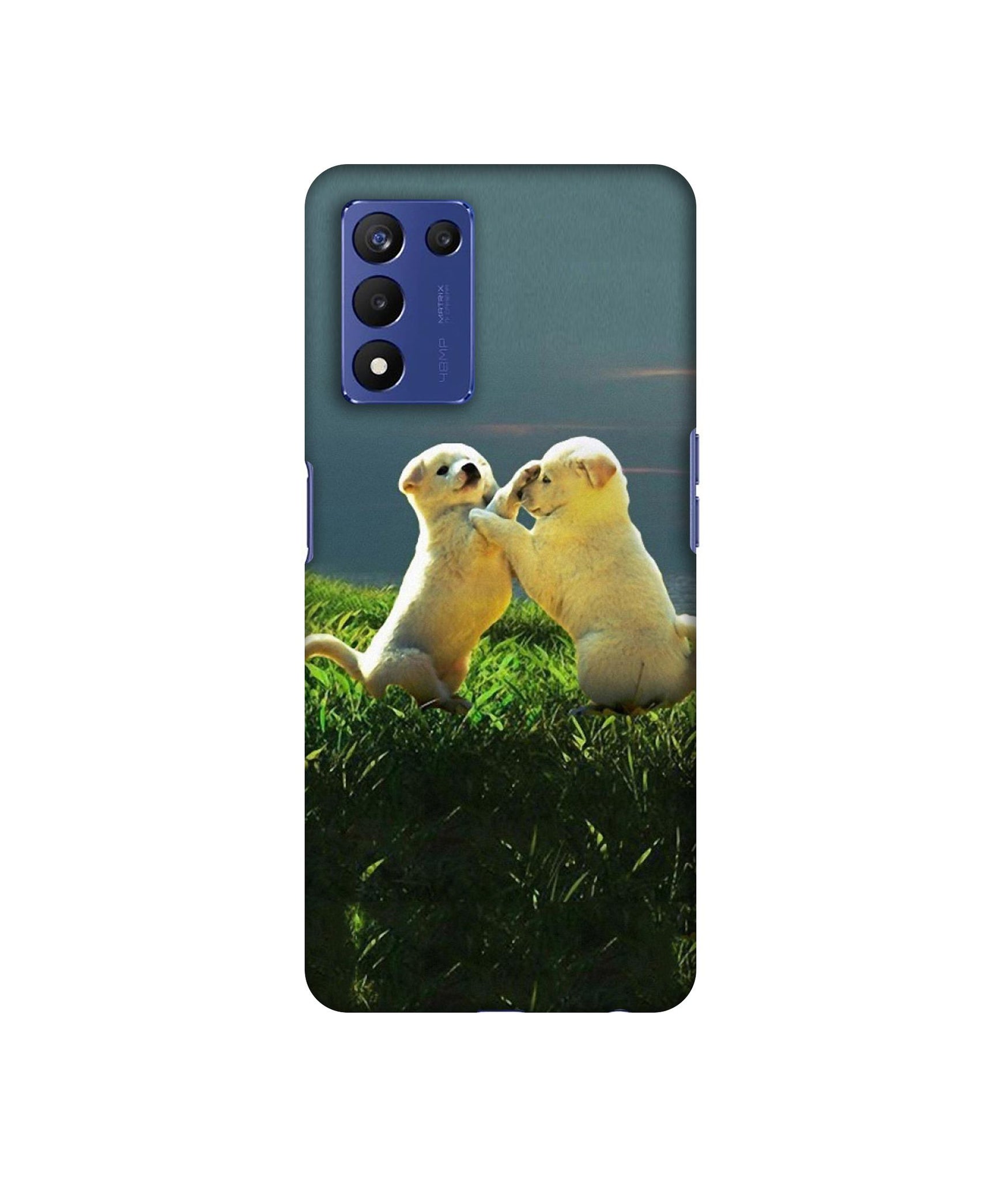 Puppy Couple Sunset Designer Hard Back Cover for Realme 9 5G Speed Edition