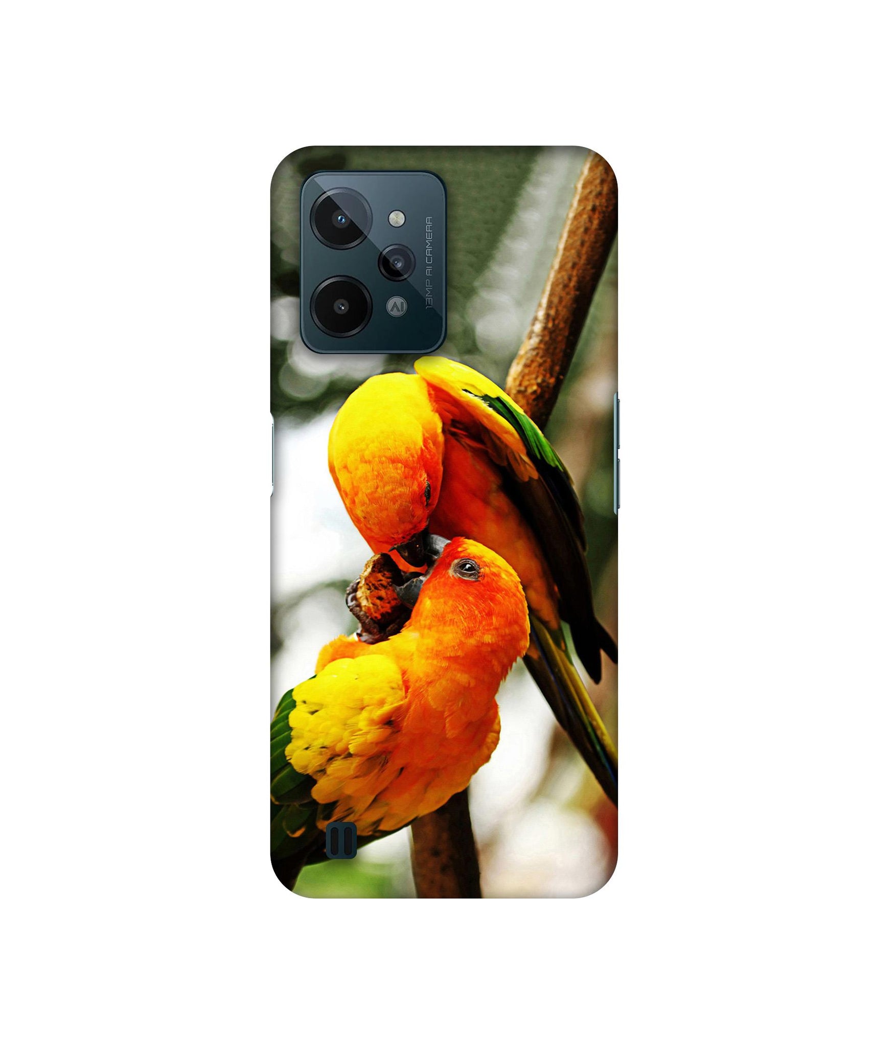 Love Bards Designer Hard Back Cover for Realme C31 4G