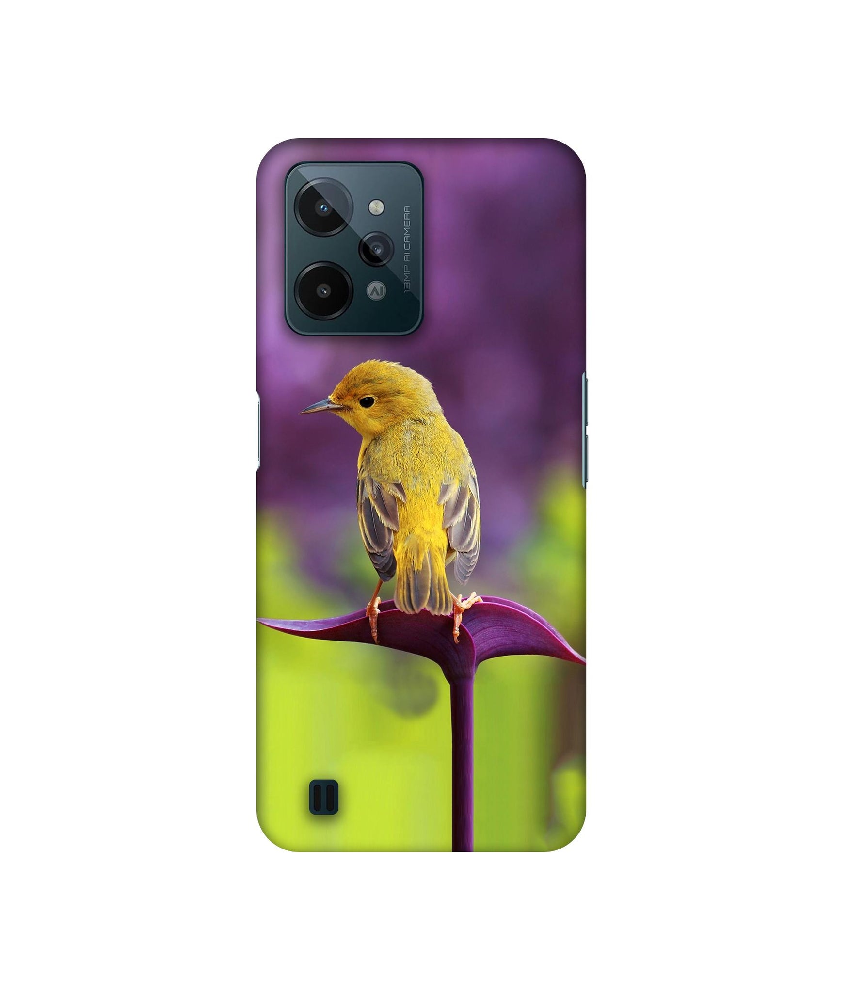 Little Bird Designer Hard Back Cover for Realme C31 4G