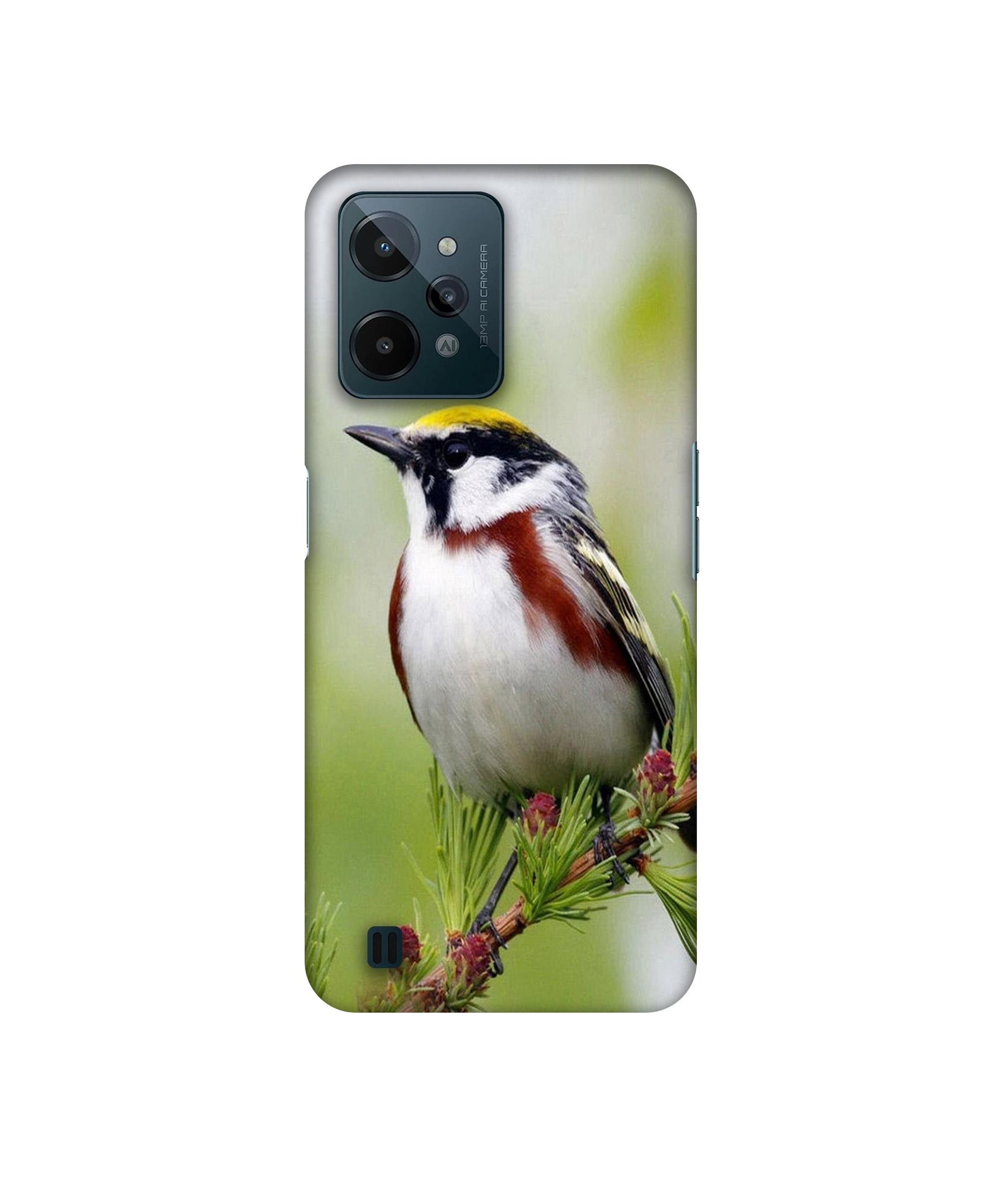 Bird Pattern Designer Hard Back Cover for Realme C31 4G