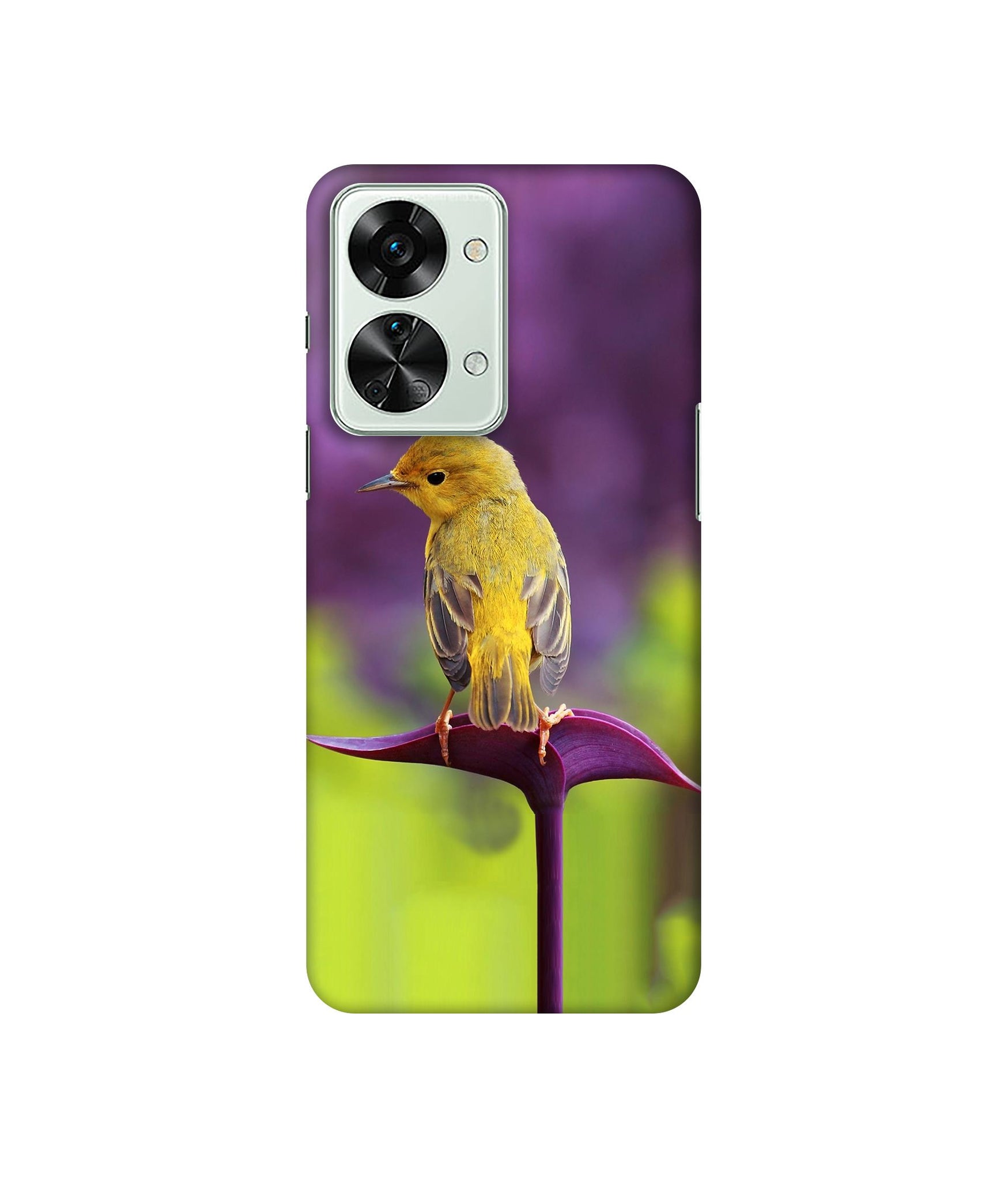 OnePlus Nord 2T 5G