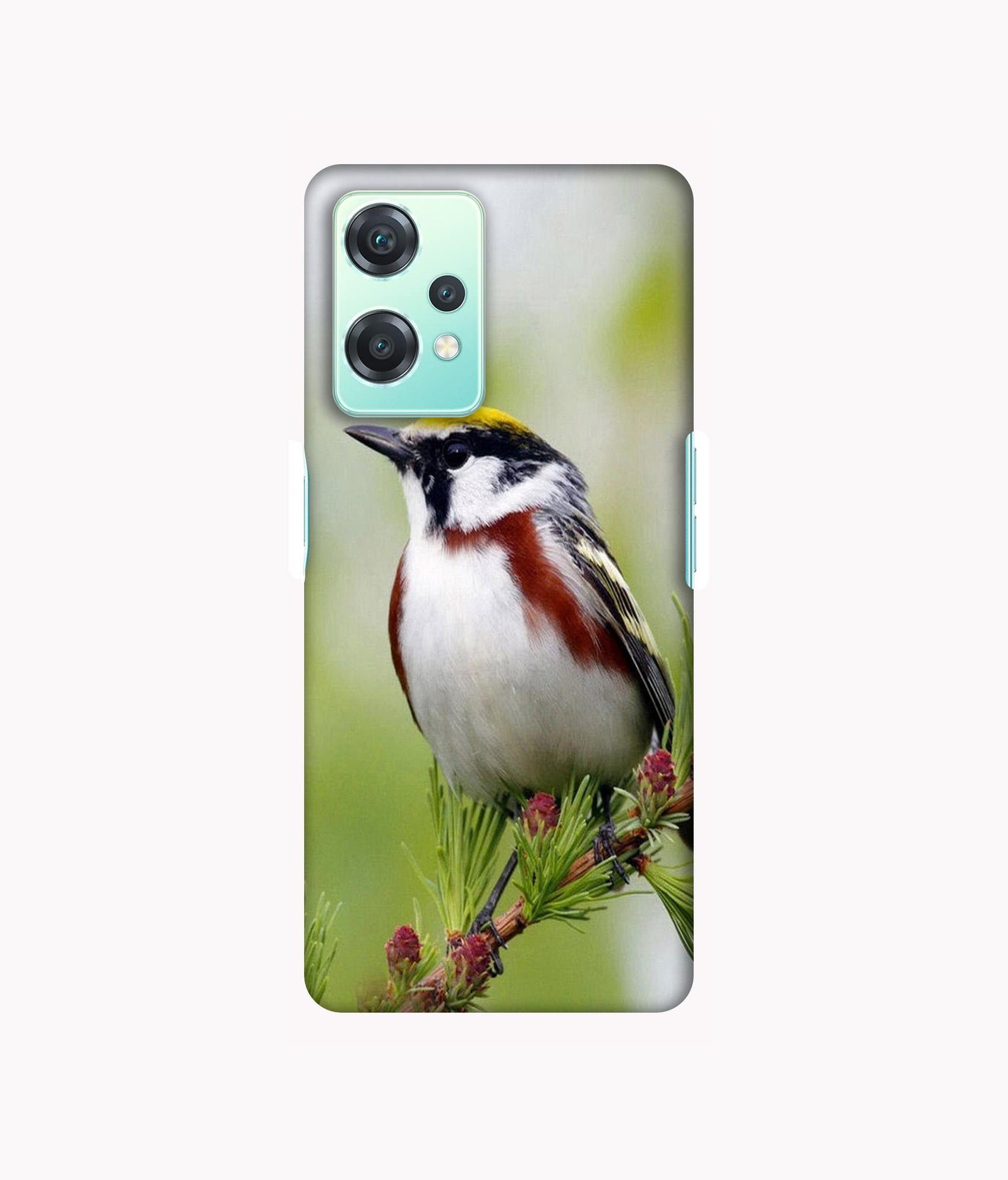 Oneplus Nord CE 2 Lite 5G