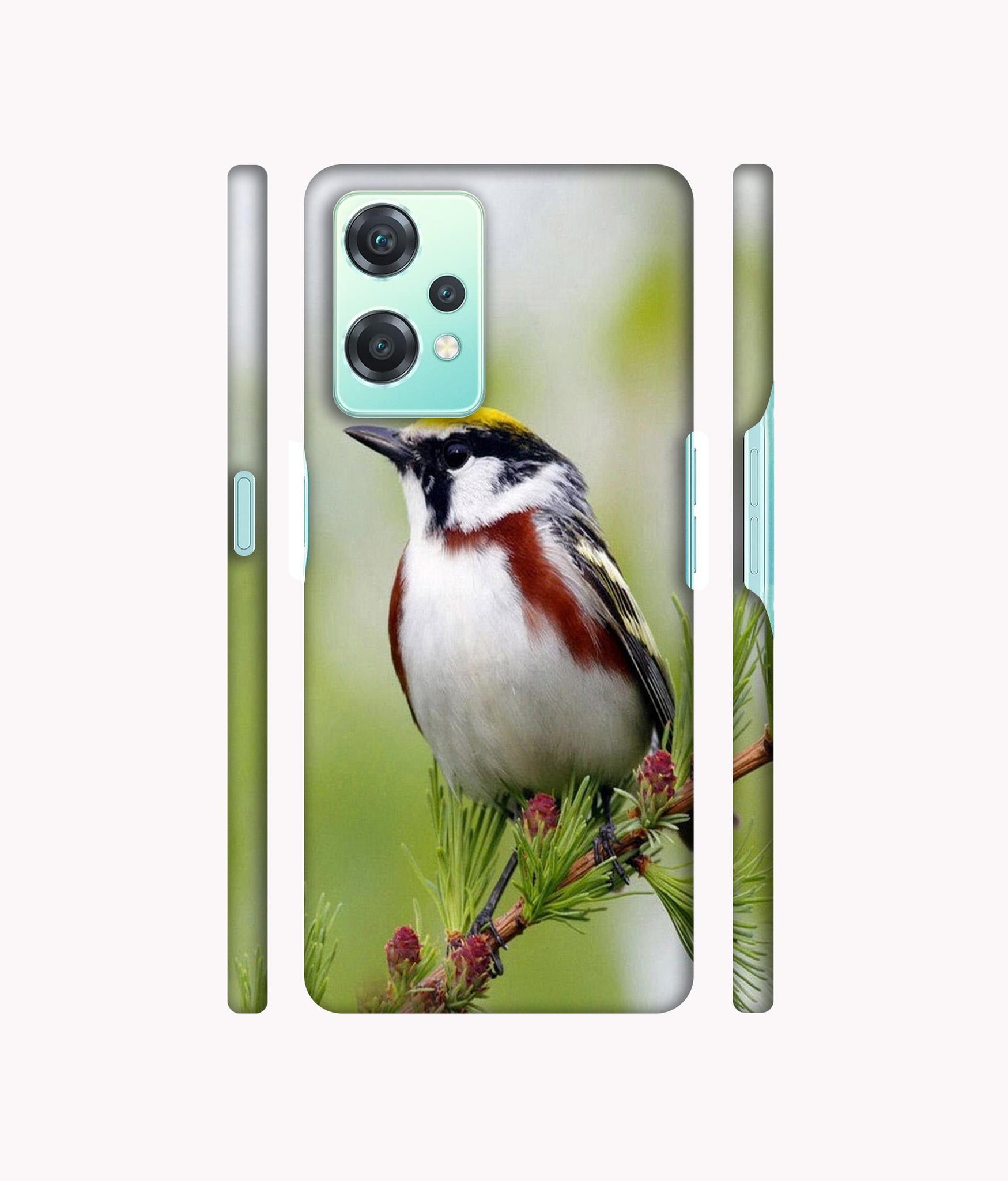 Bird Pattern Designer Hard Back Cover for Oneplus Nord CE 2 Lite 5G