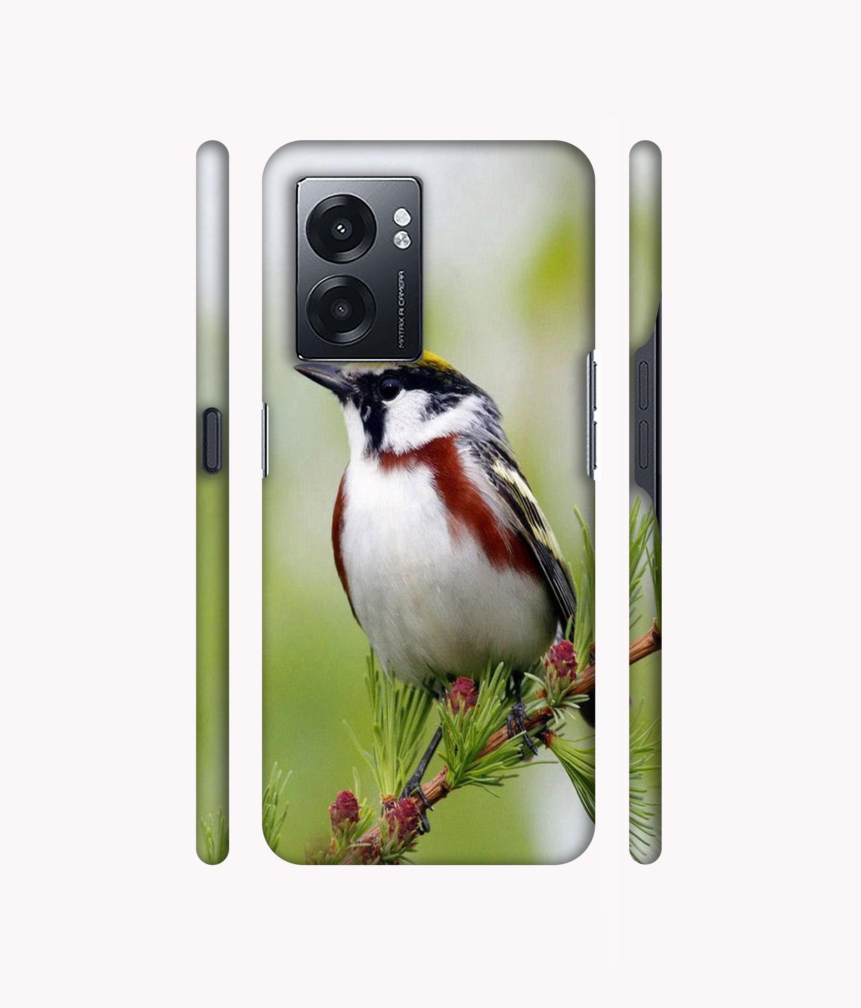 Bird Pattern Designer Hard Back Cover for Realme Narzo 50 5G / Oppo K10 5G / Oppo A57 5G