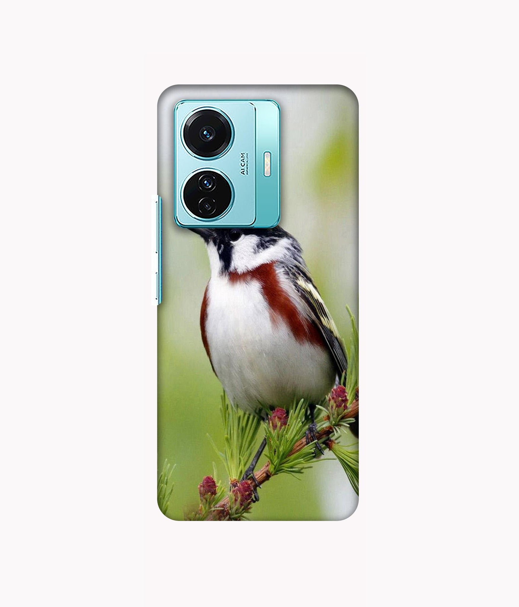 Vivo T1 Pro 5G