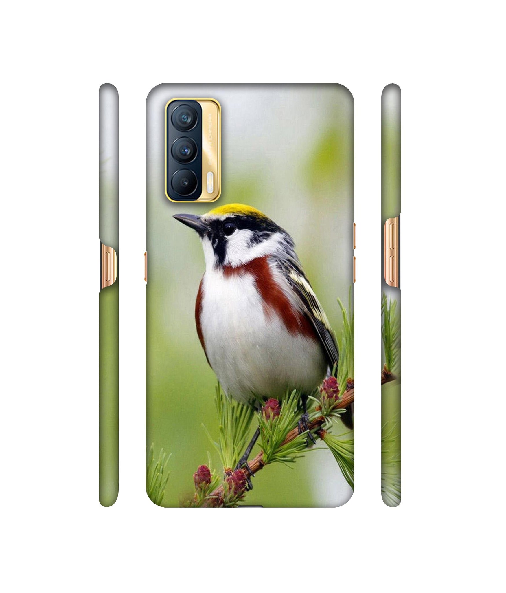 Bird Pattern Designer Hard Back Cover for Realme X7 5G