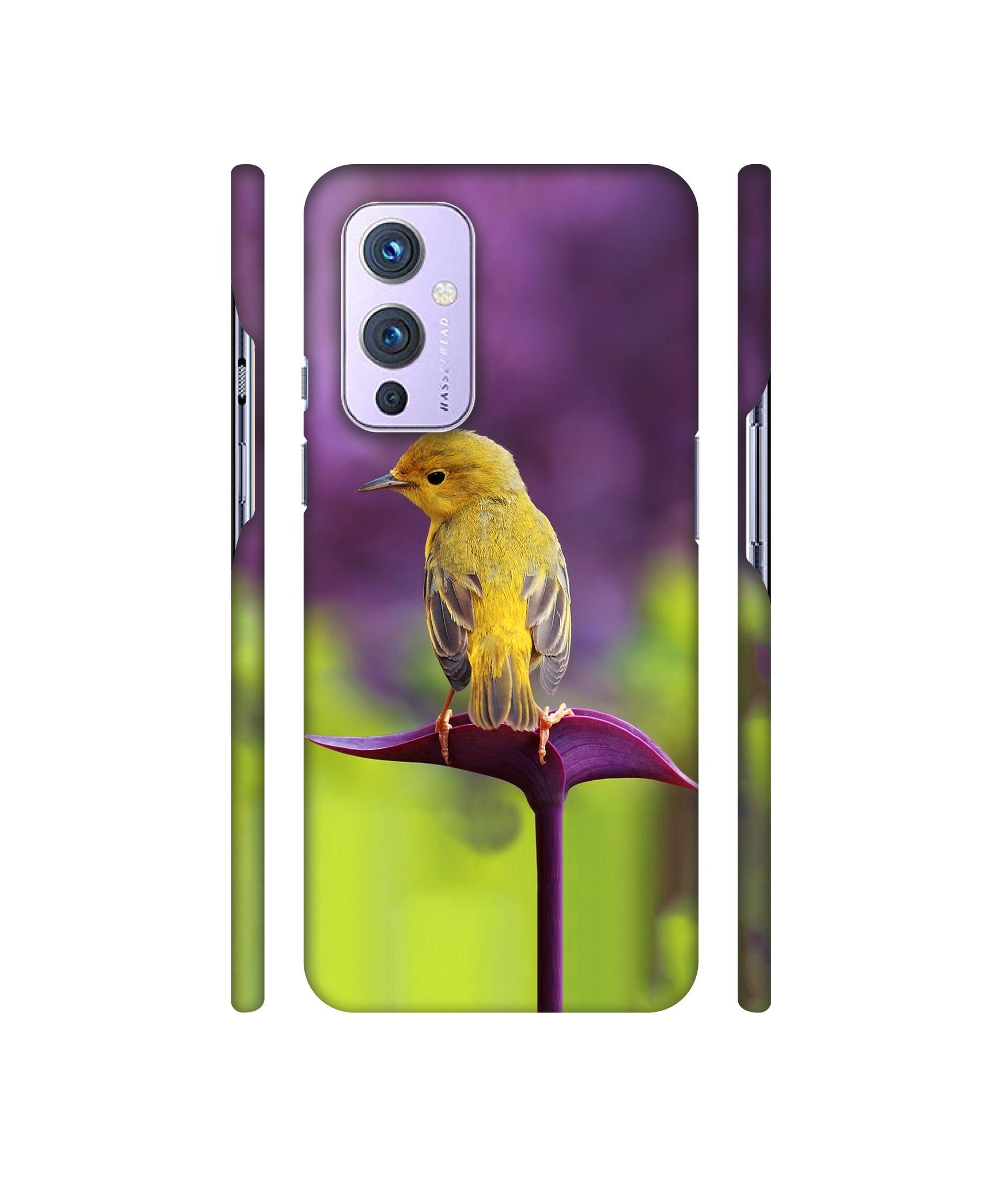 Little Bird Designer Hard Back Cover for OnePlus 9