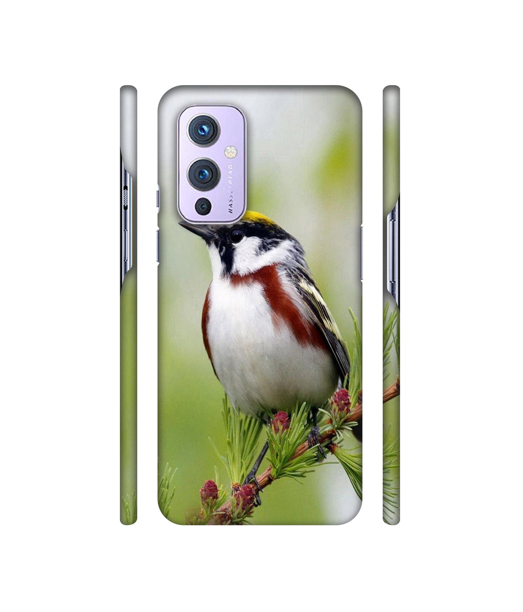 Bird Pattern Designer Hard Back Cover for OnePlus 9